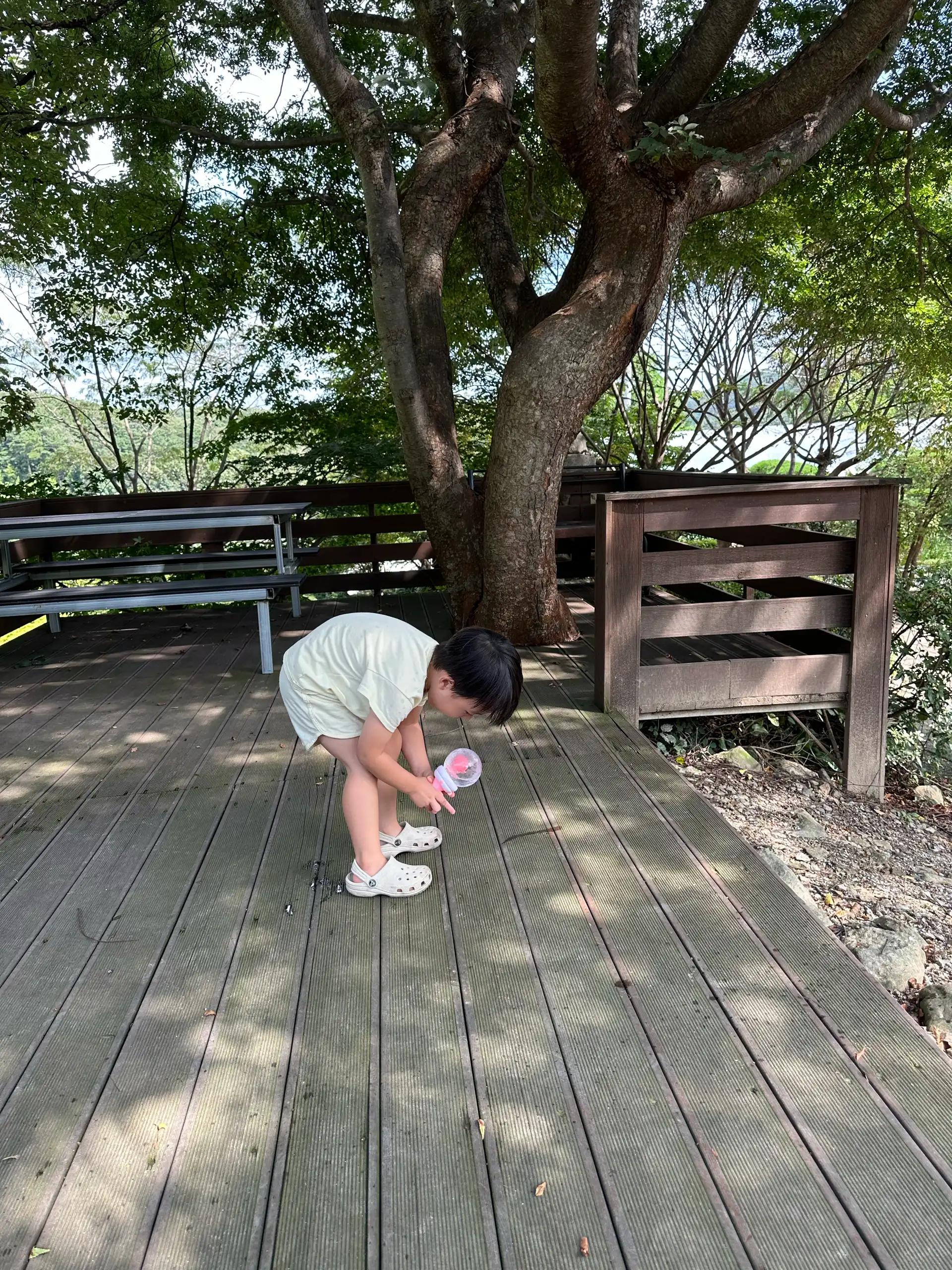 크루톡 이미지 2