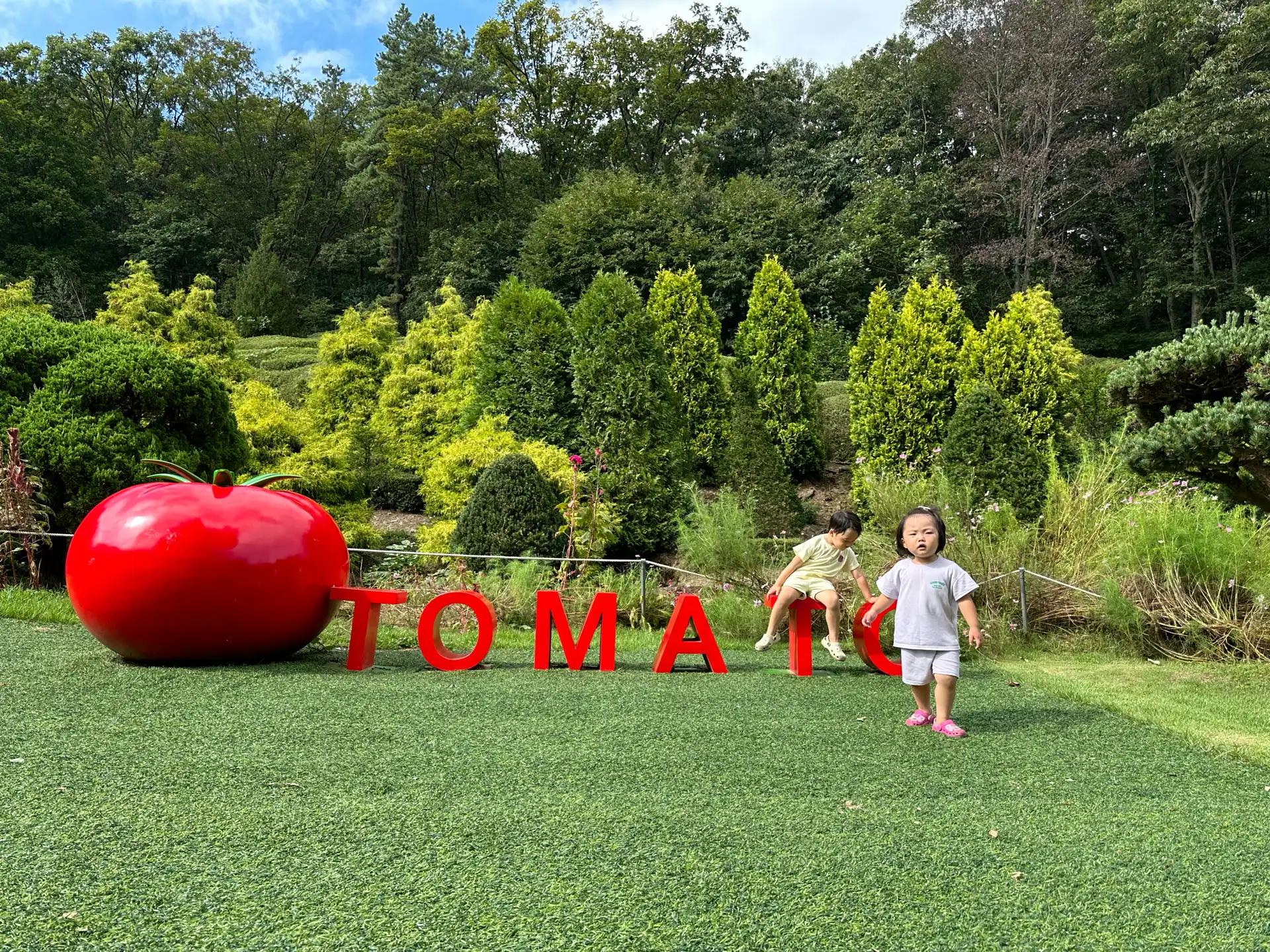 크루톡 이미지 6