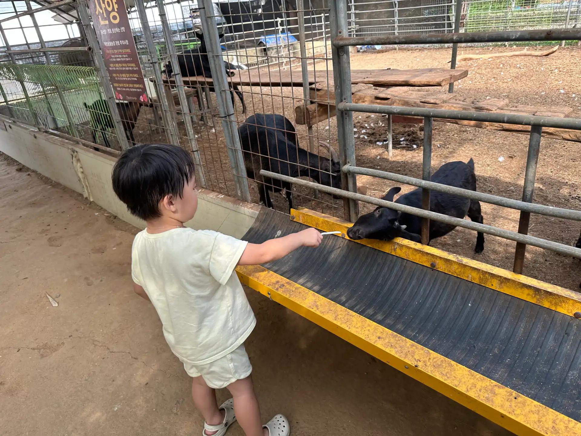 크루톡 이미지 10