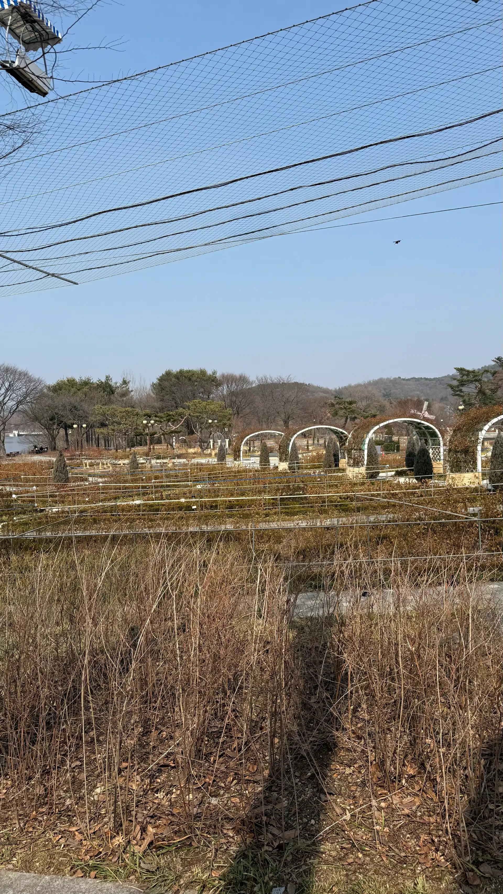 크루톡 이미지