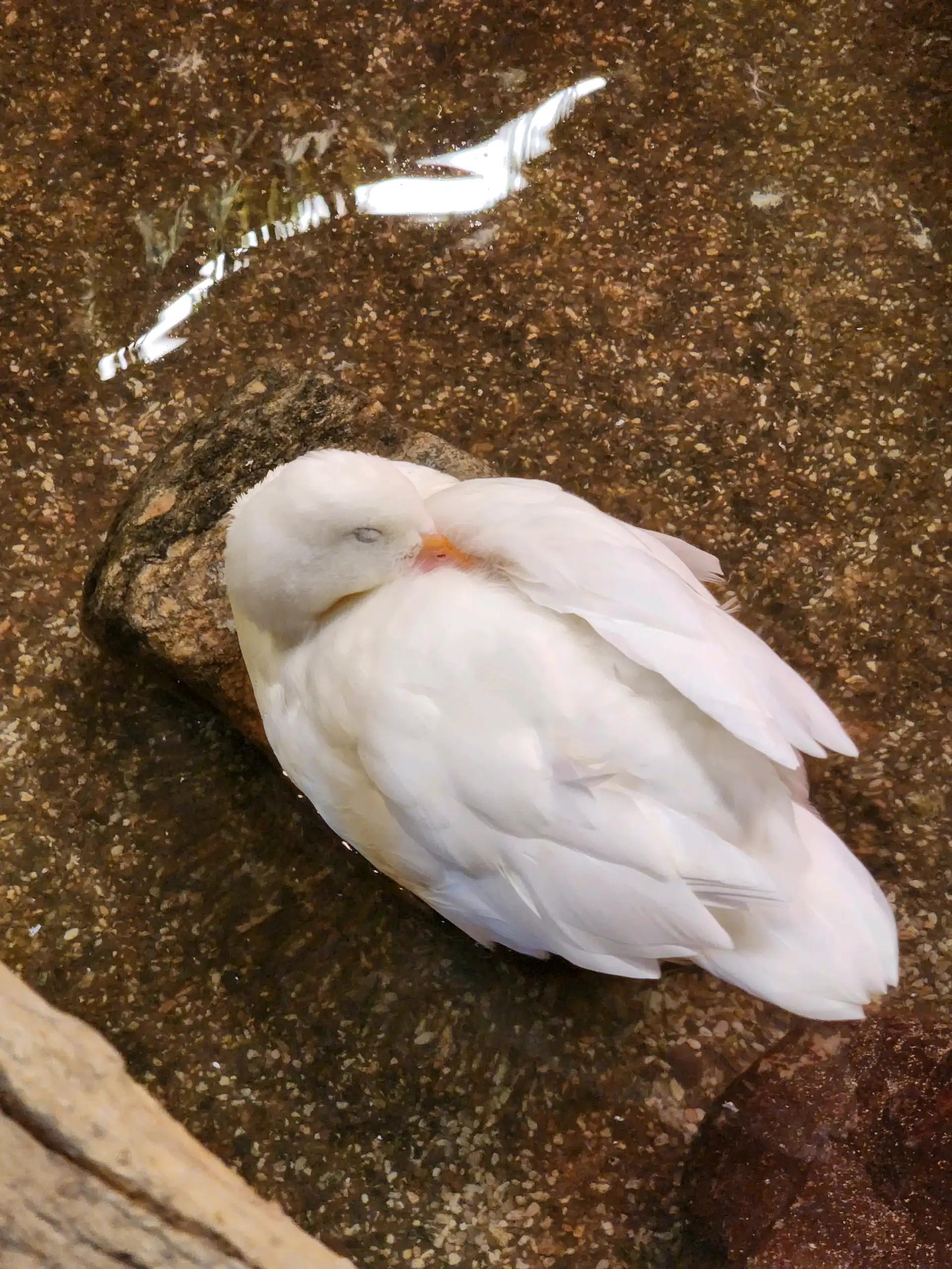 크루톡 이미지 1