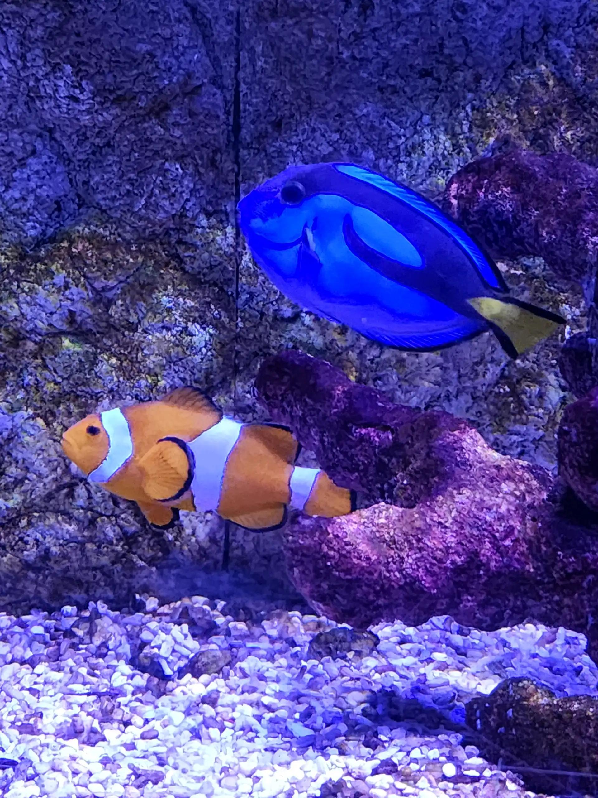 크루톡 이미지 6