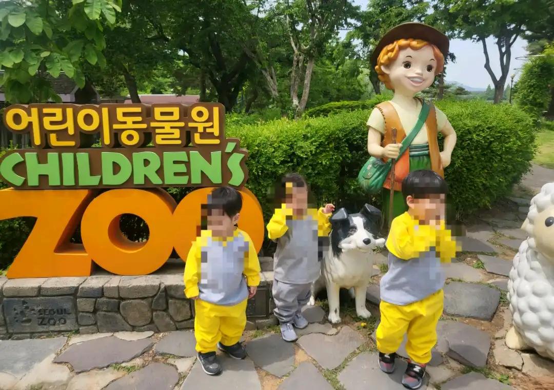 크루톡 이미지