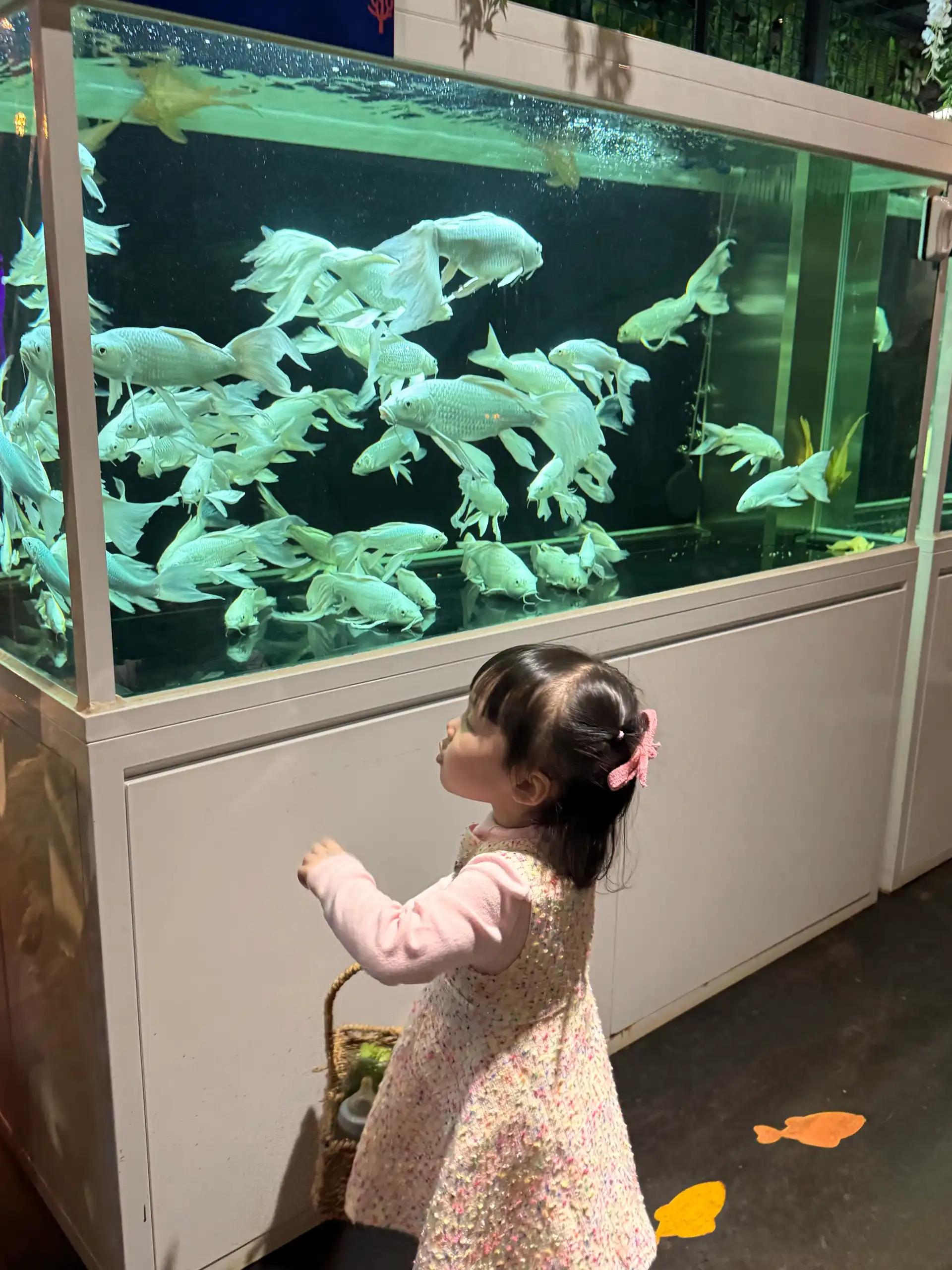 크루톡 이미지