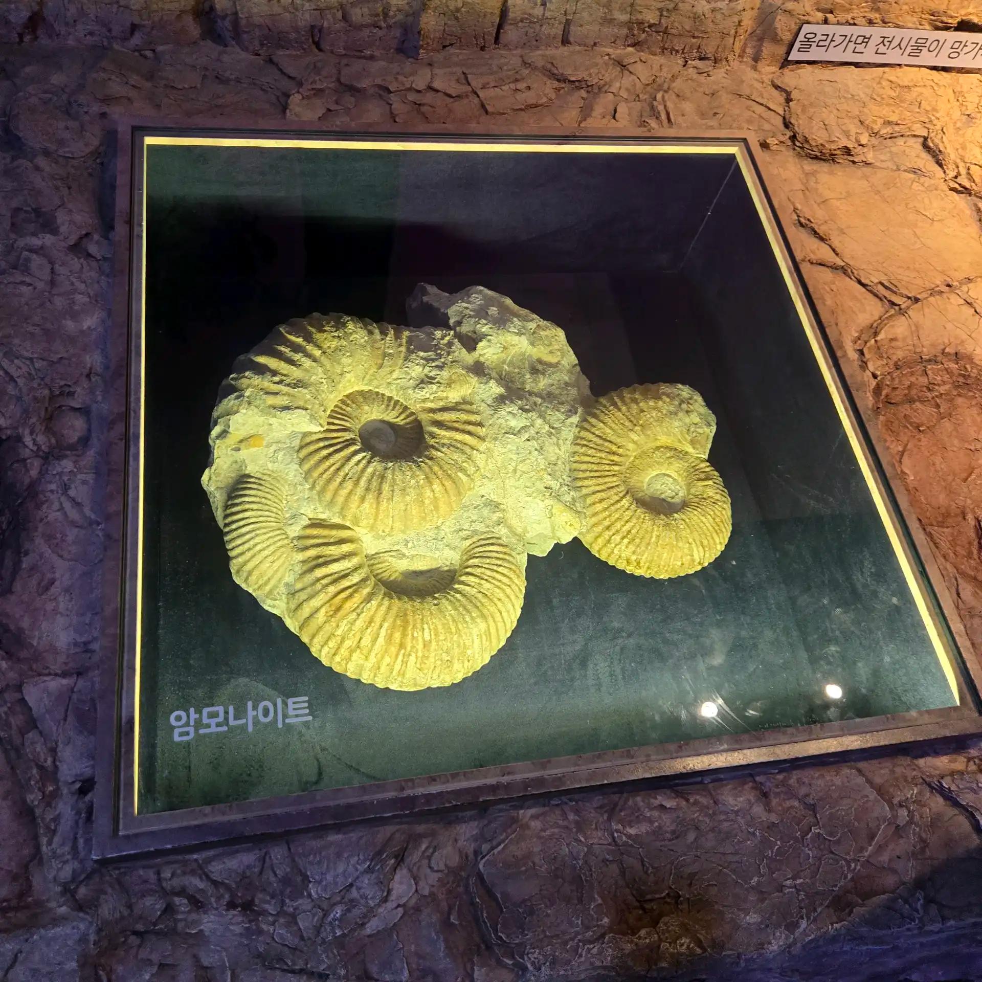 크루톡 이미지 3