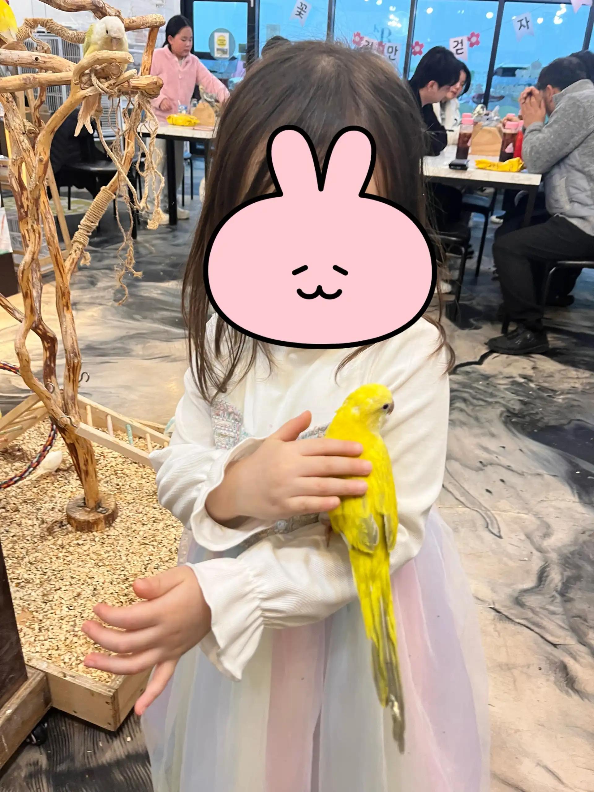 크루톡 이미지 1