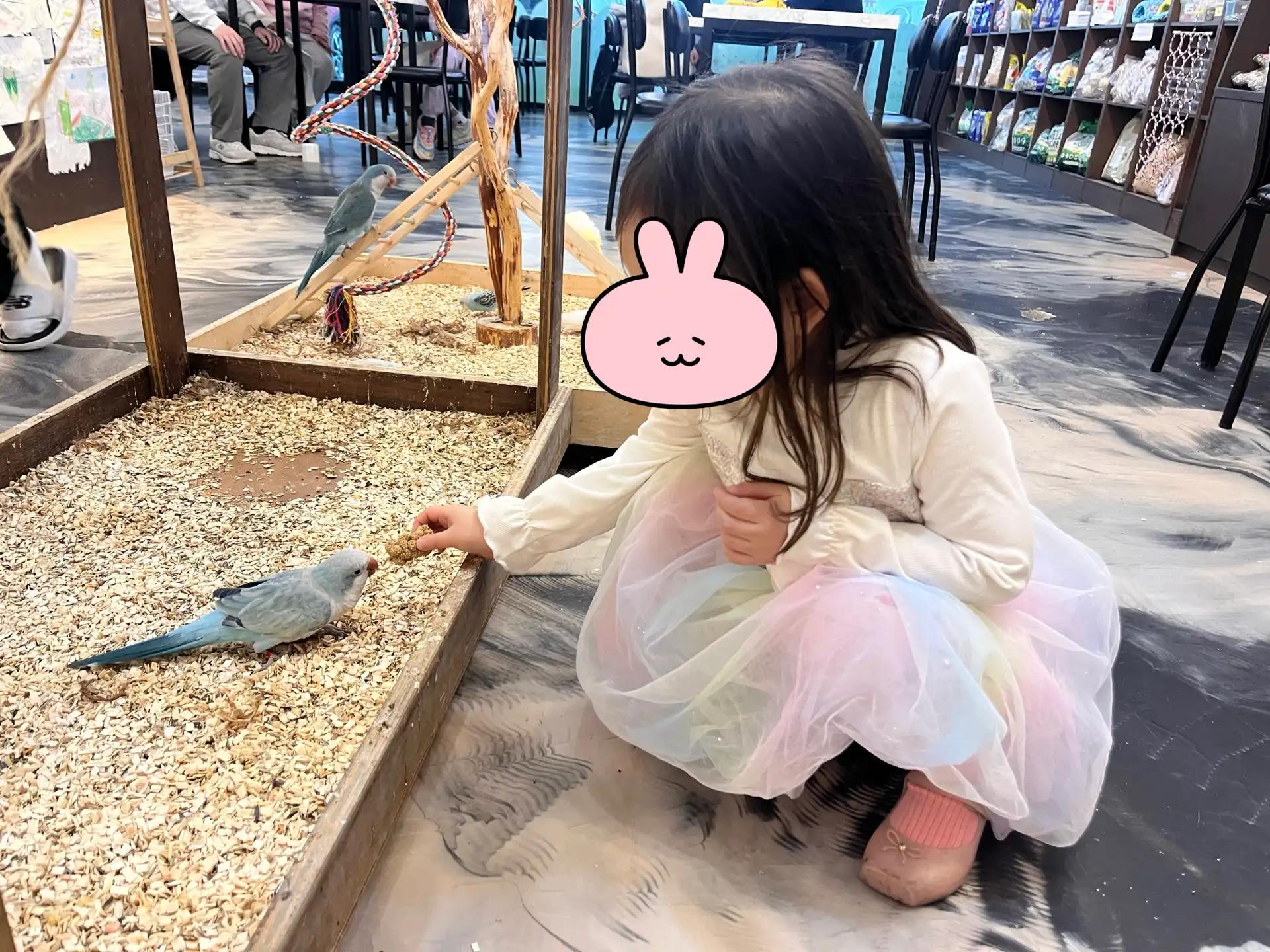크루톡 이미지 3