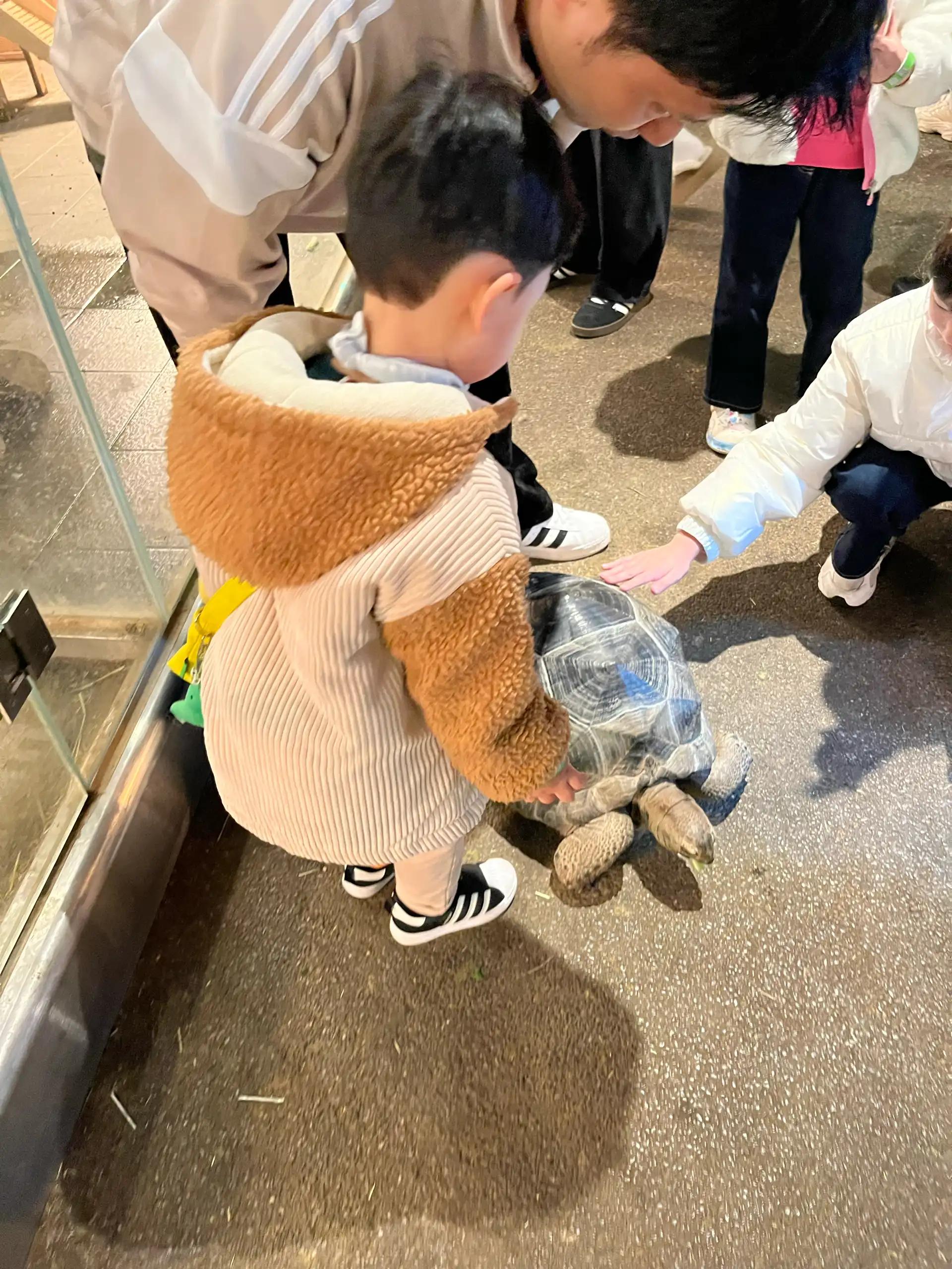 크루톡 이미지 5