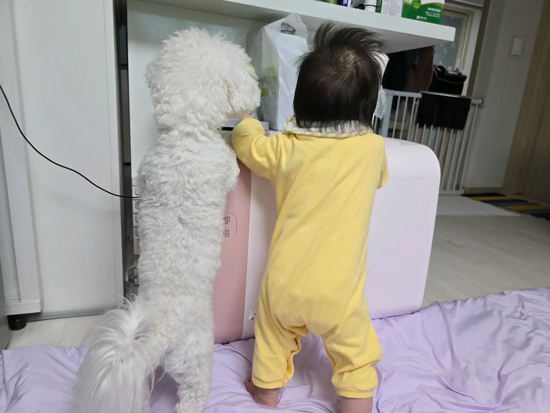 크루톡 이미지