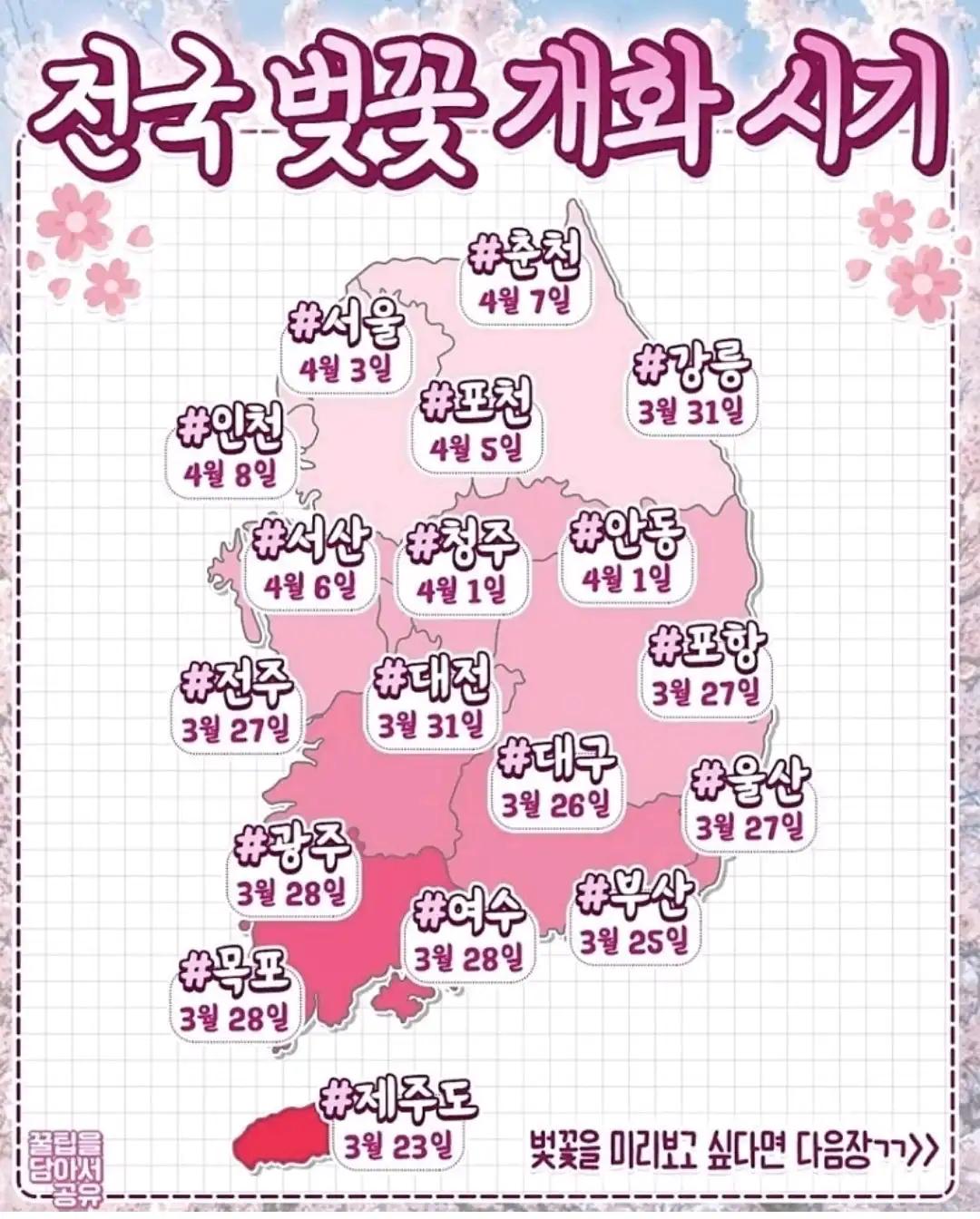 크루톡 이미지 1