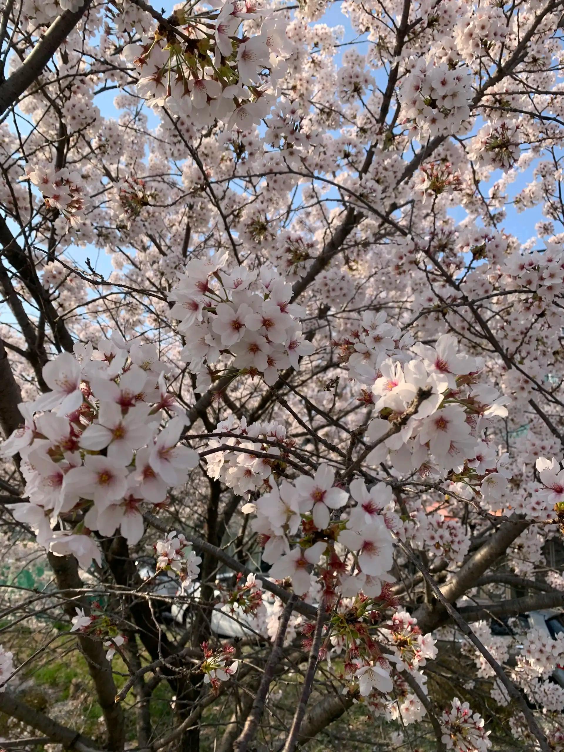 크루톡 이미지 2