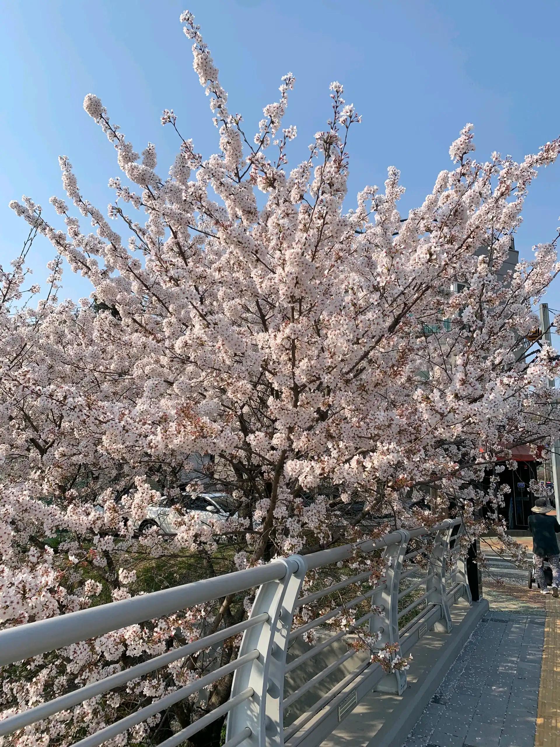 크루톡 이미지 4