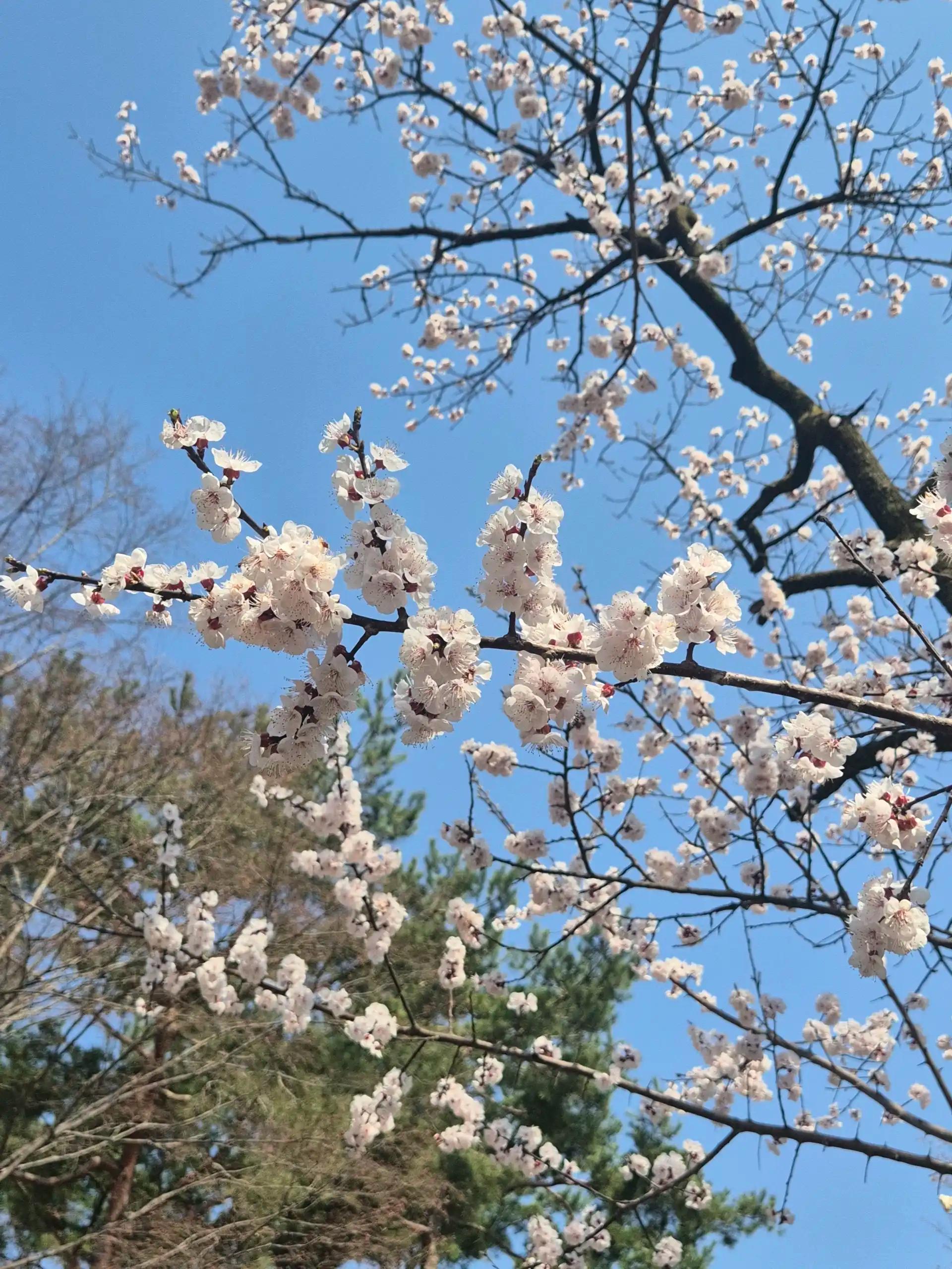 크루톡 이미지 1