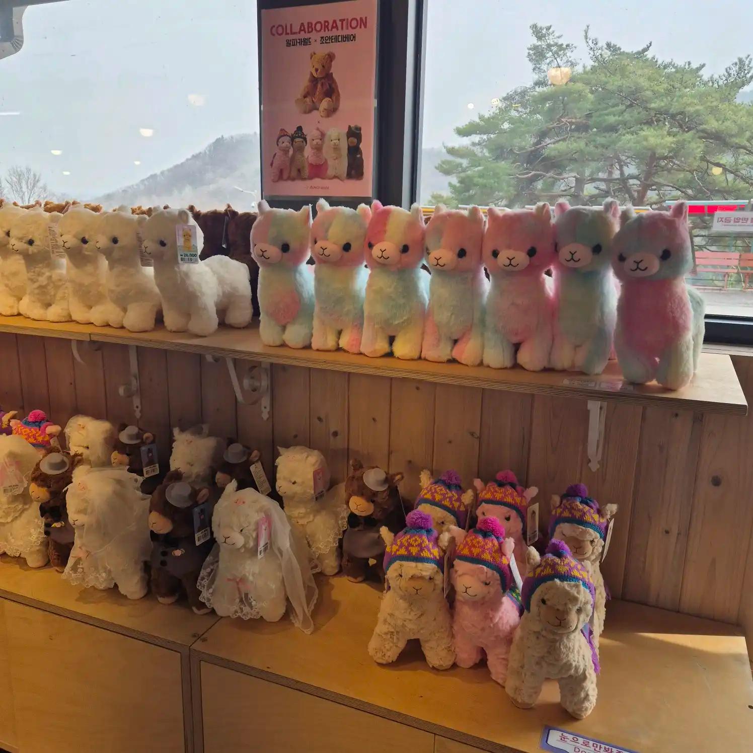 크루톡 이미지 14