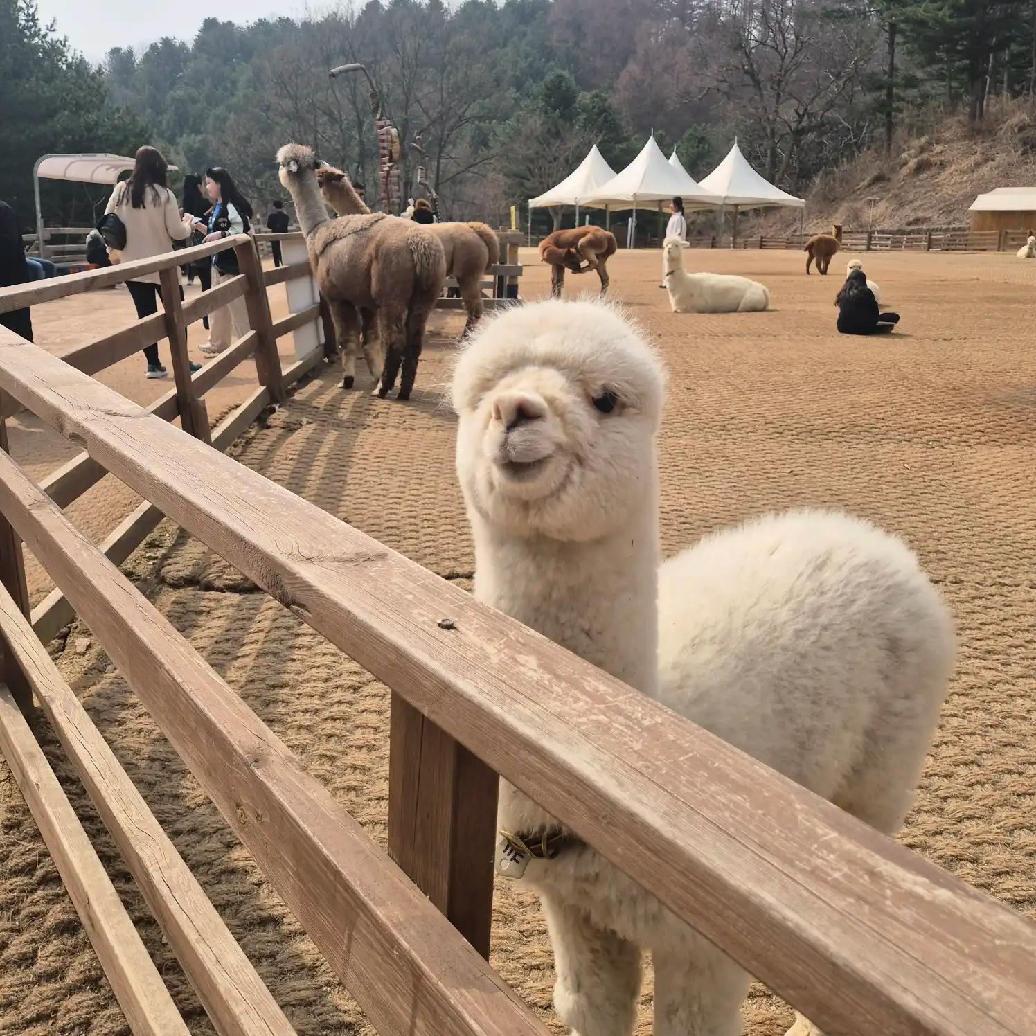 크루톡 이미지 5