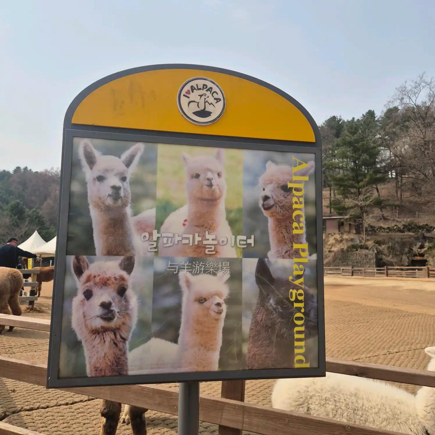 크루톡 이미지 6