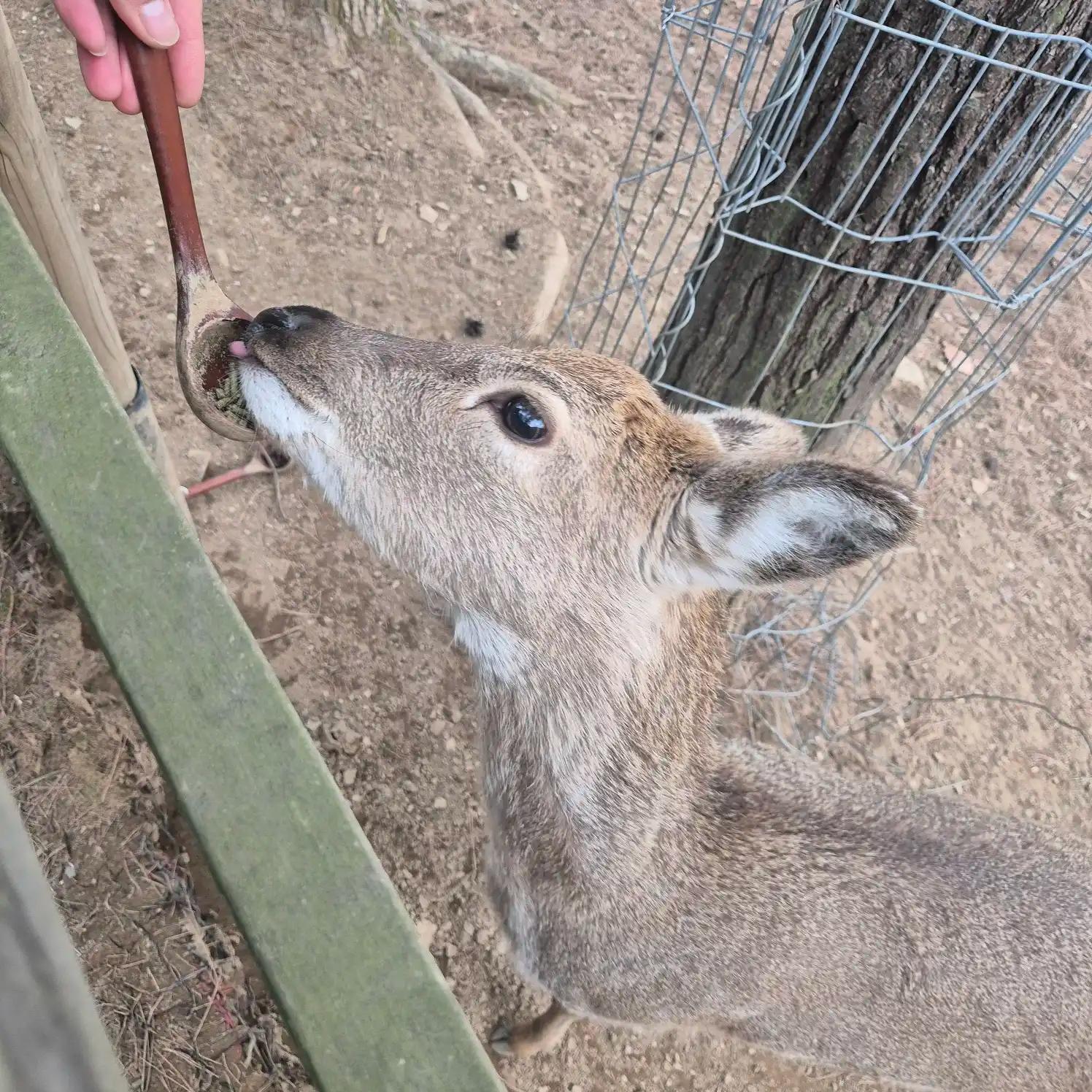 크루톡 이미지 7