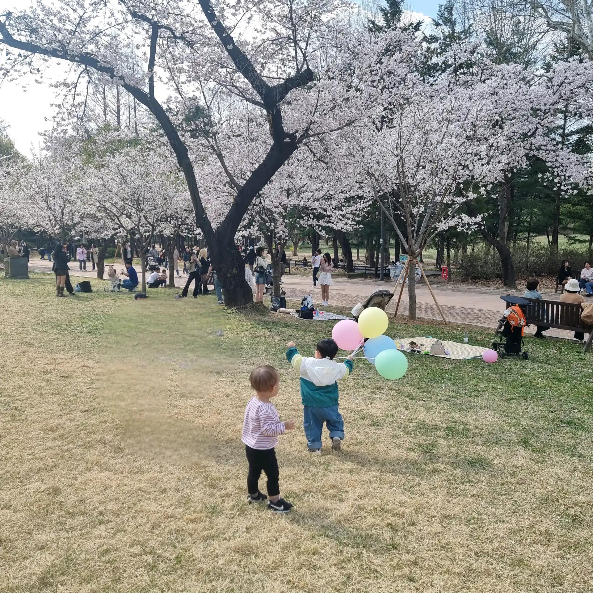 크루톡 이미지 4