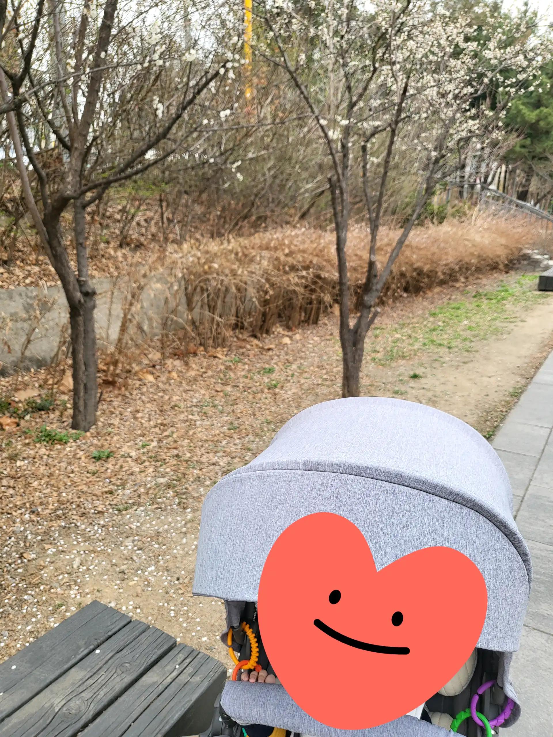 크루톡 이미지 1