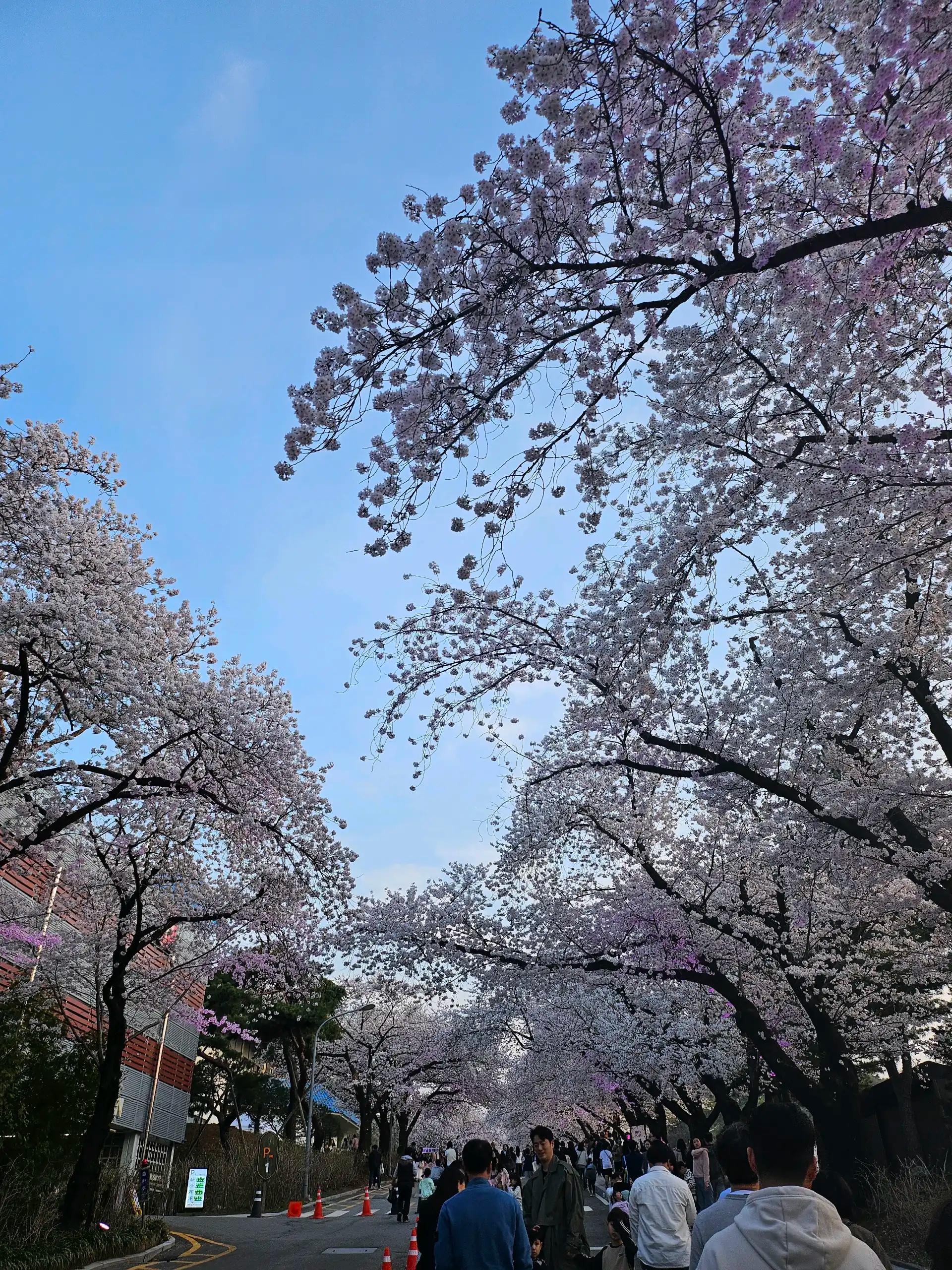 크루톡 이미지 3