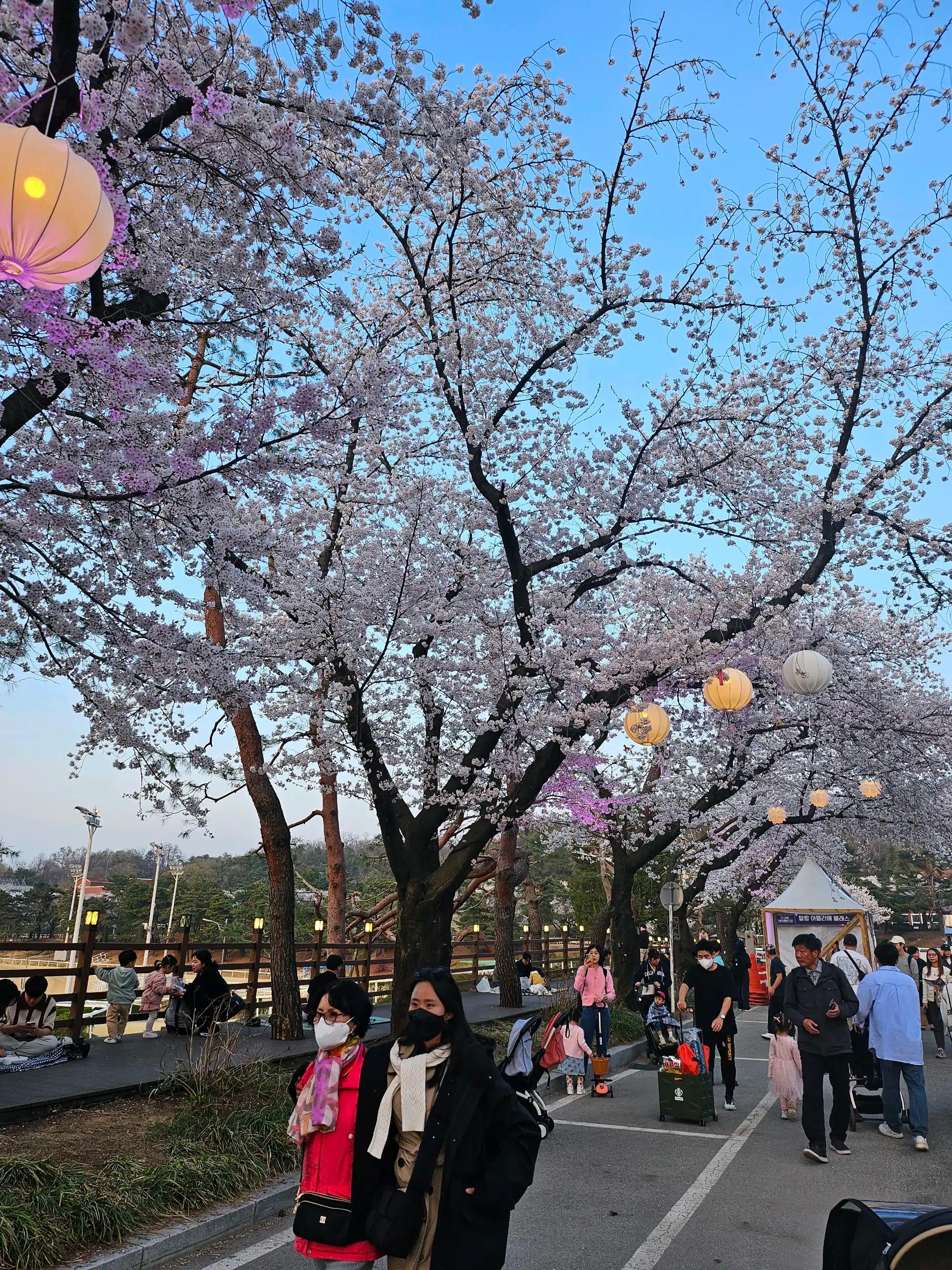 크루톡 이미지 4