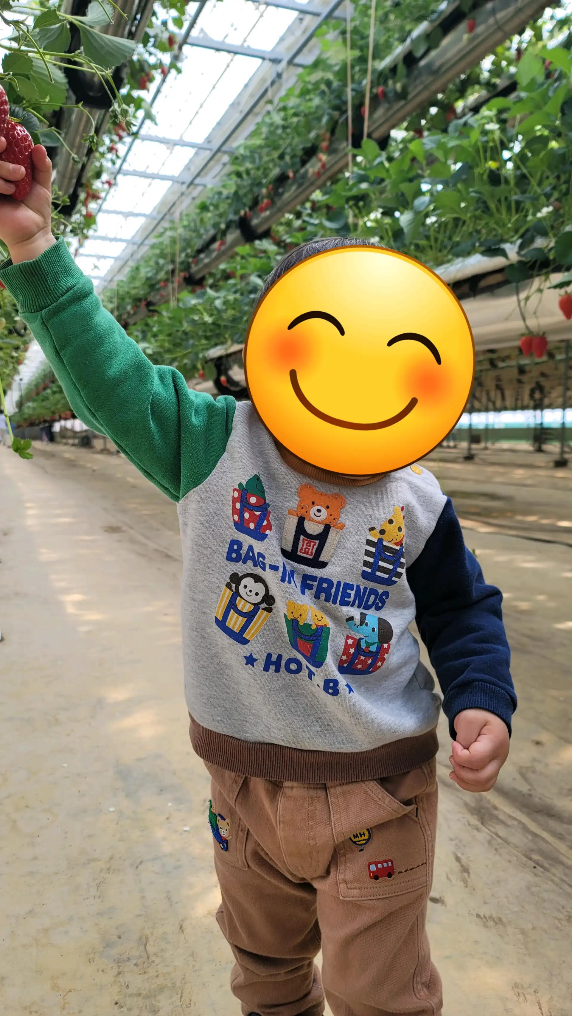 크루톡 이미지