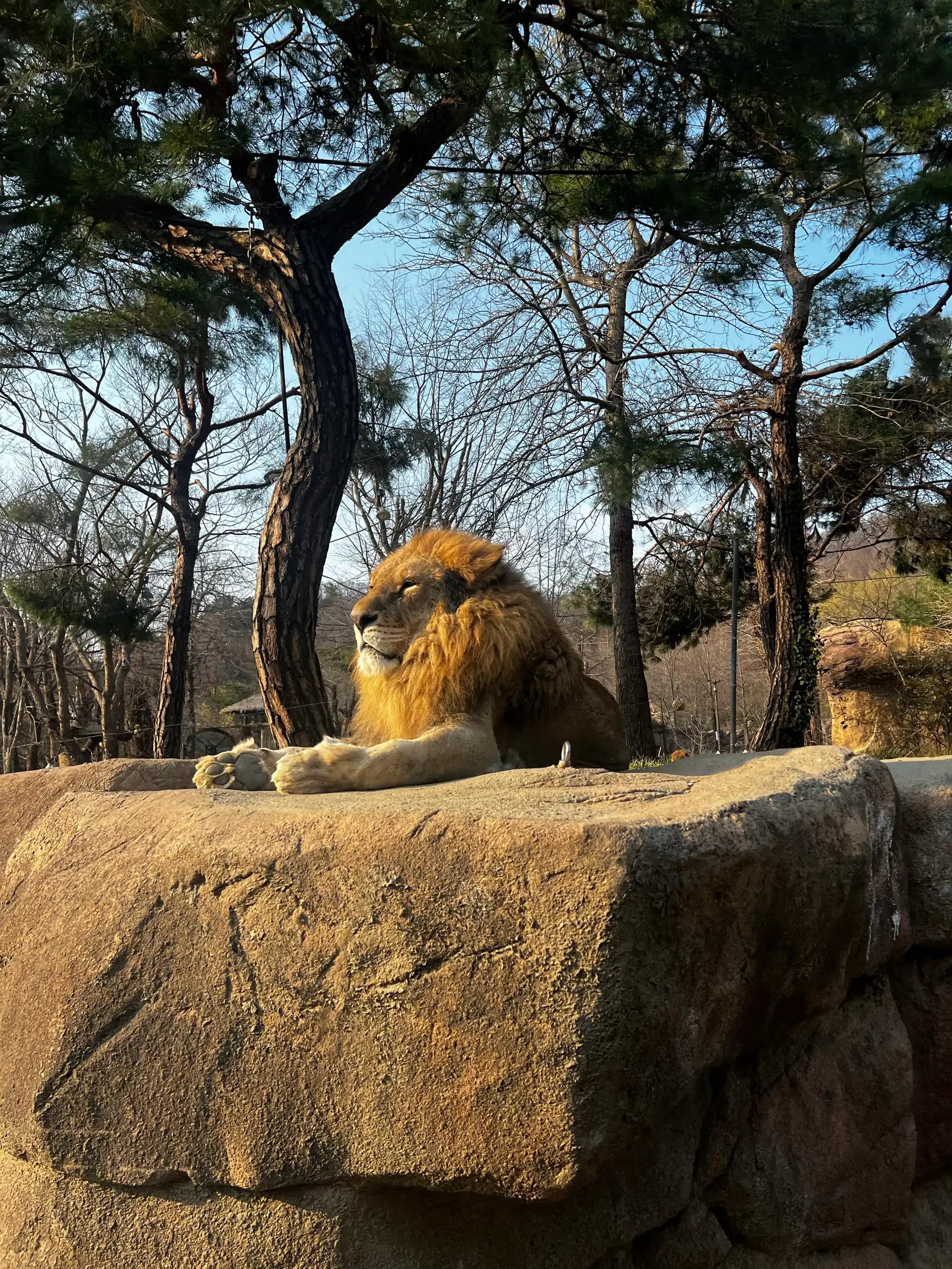 크루톡 이미지 12