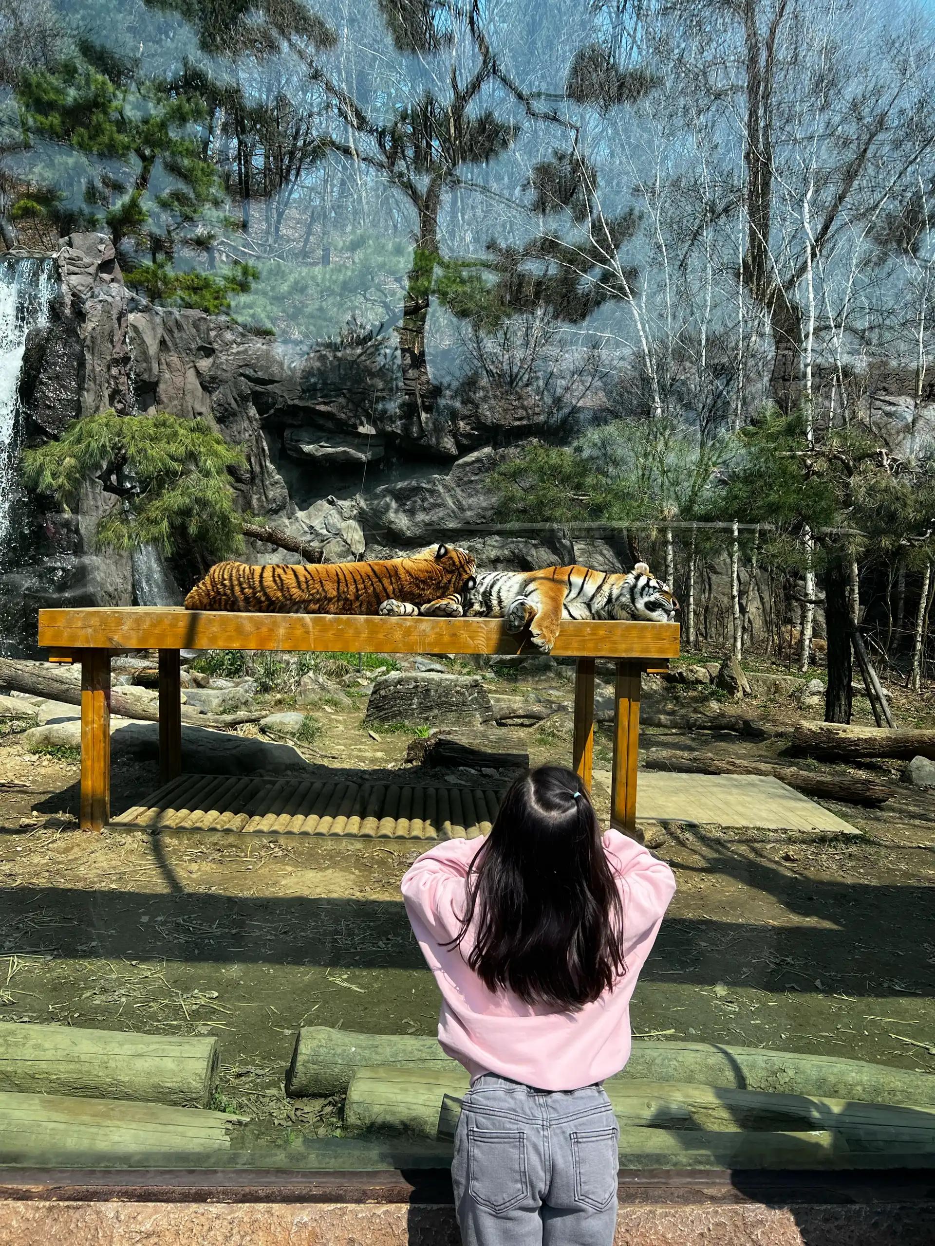 크루톡 이미지 8