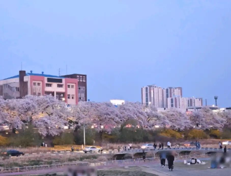 크루톡 이미지