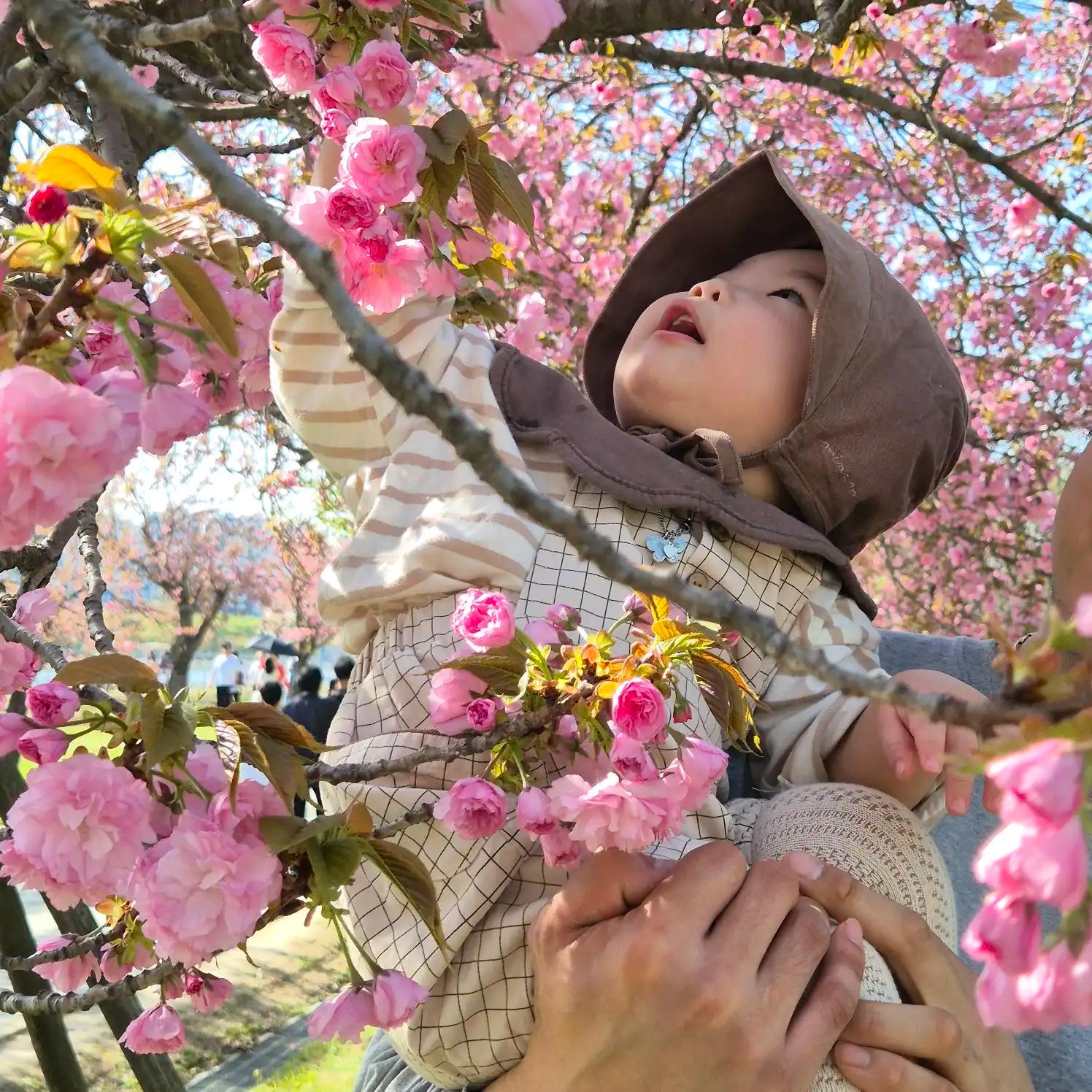 크루톡 이미지 1