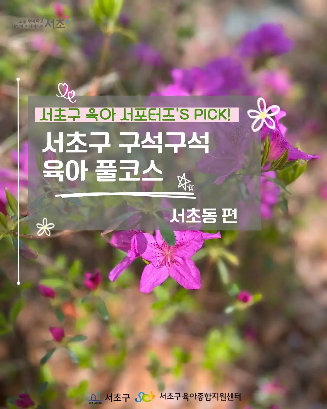 크루톡 이미지 1