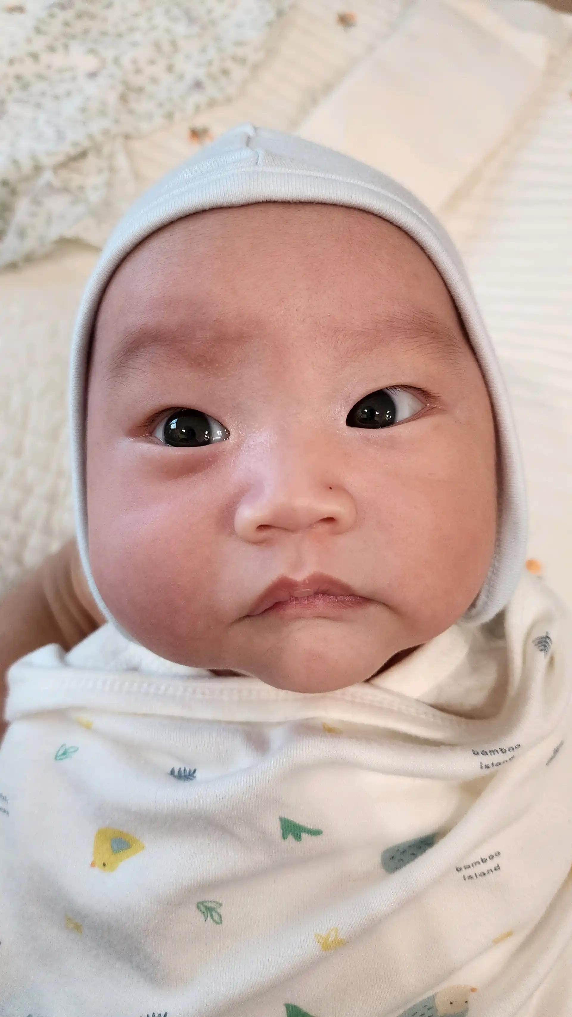 크루톡 이미지