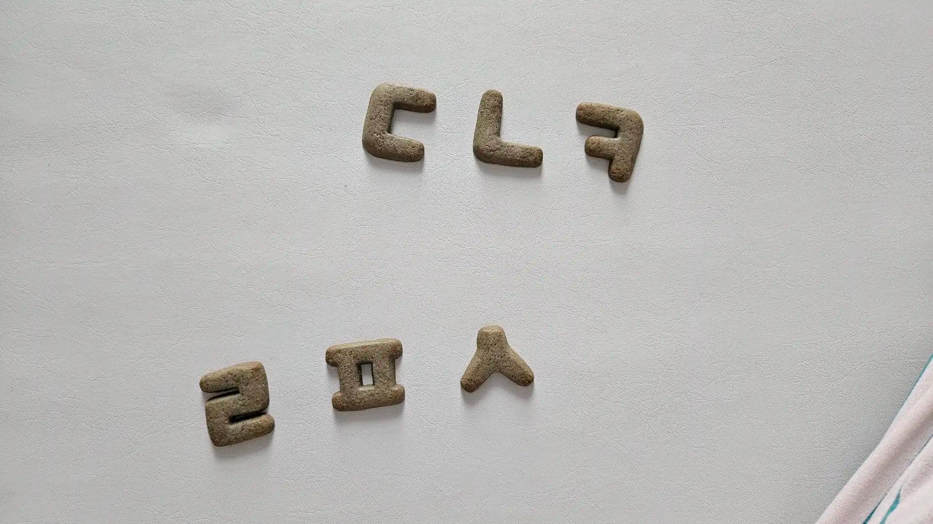 크루톡 이미지