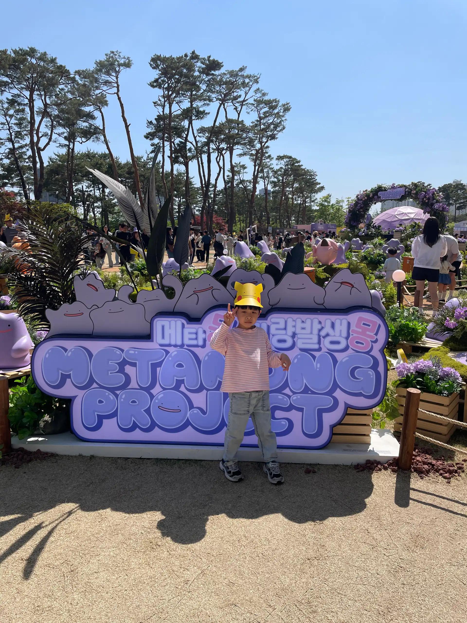 크루톡 이미지
