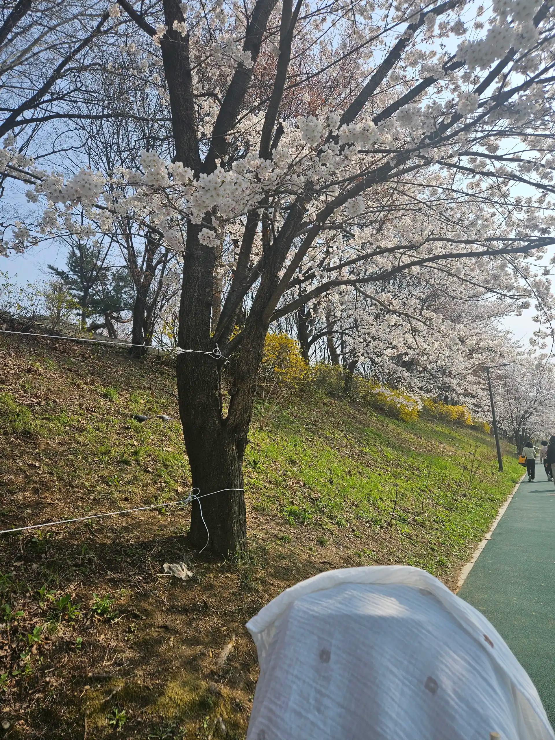 크루톡 이미지