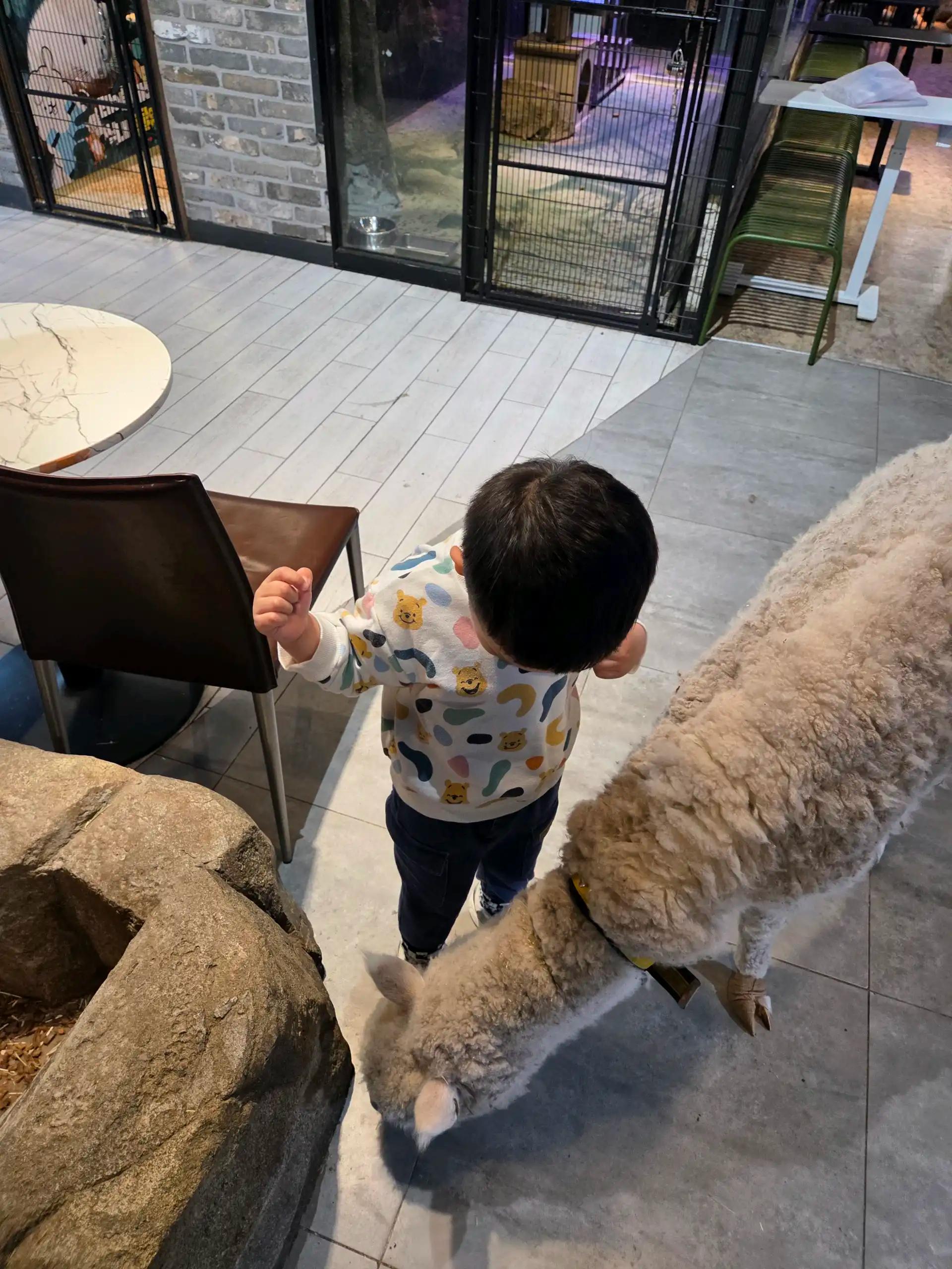 크루톡 이미지
