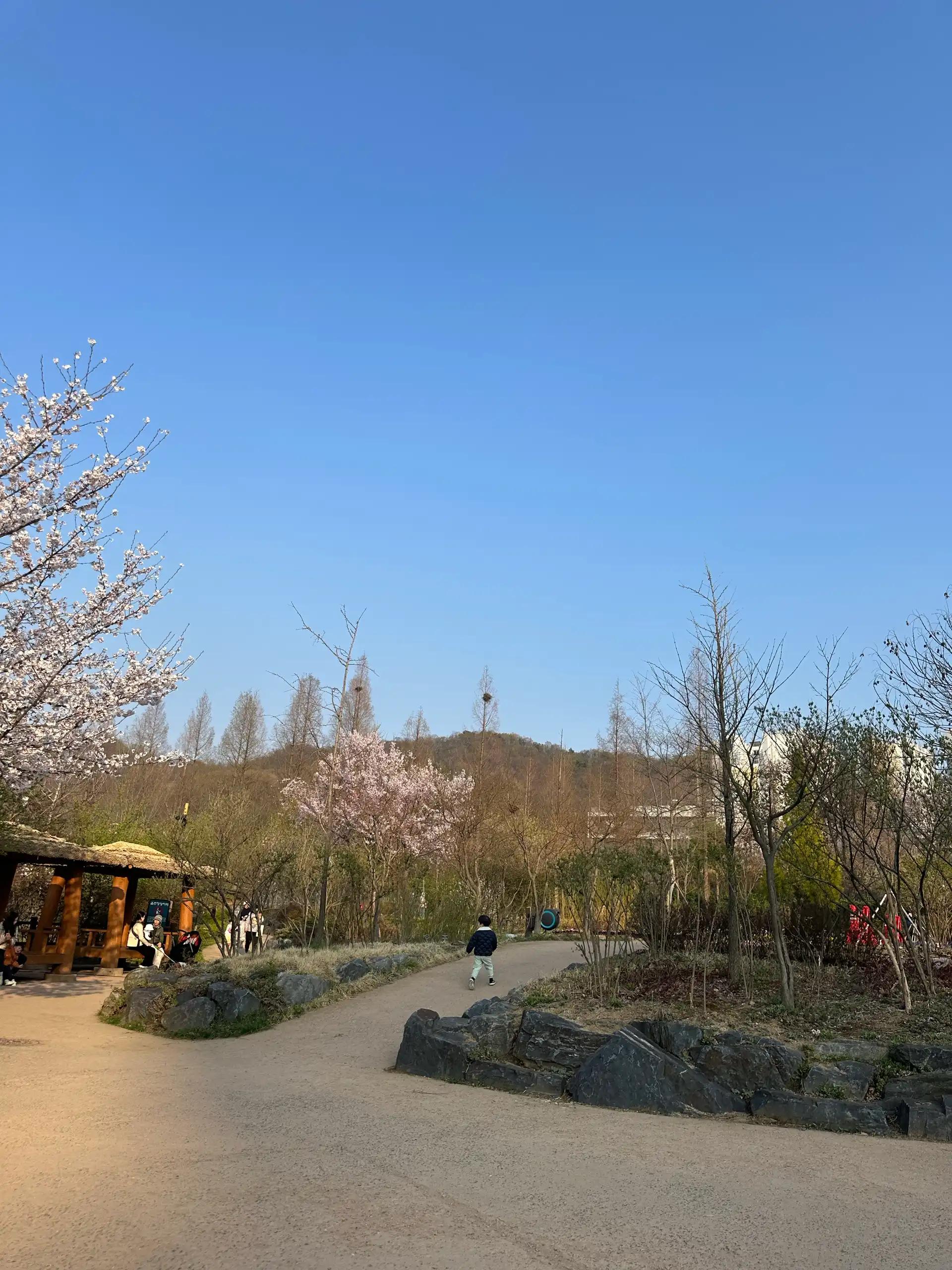 크루톡 이미지 2