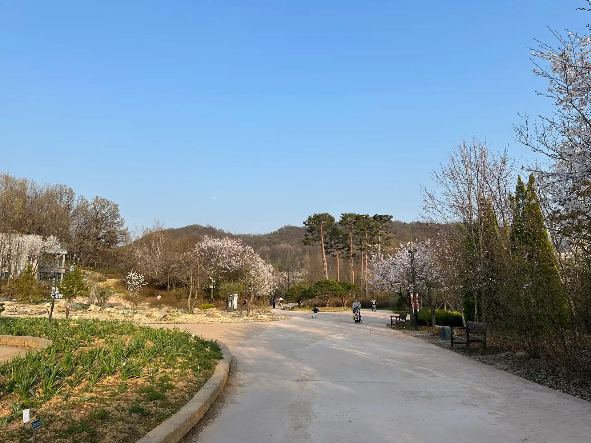 크루톡 이미지 7