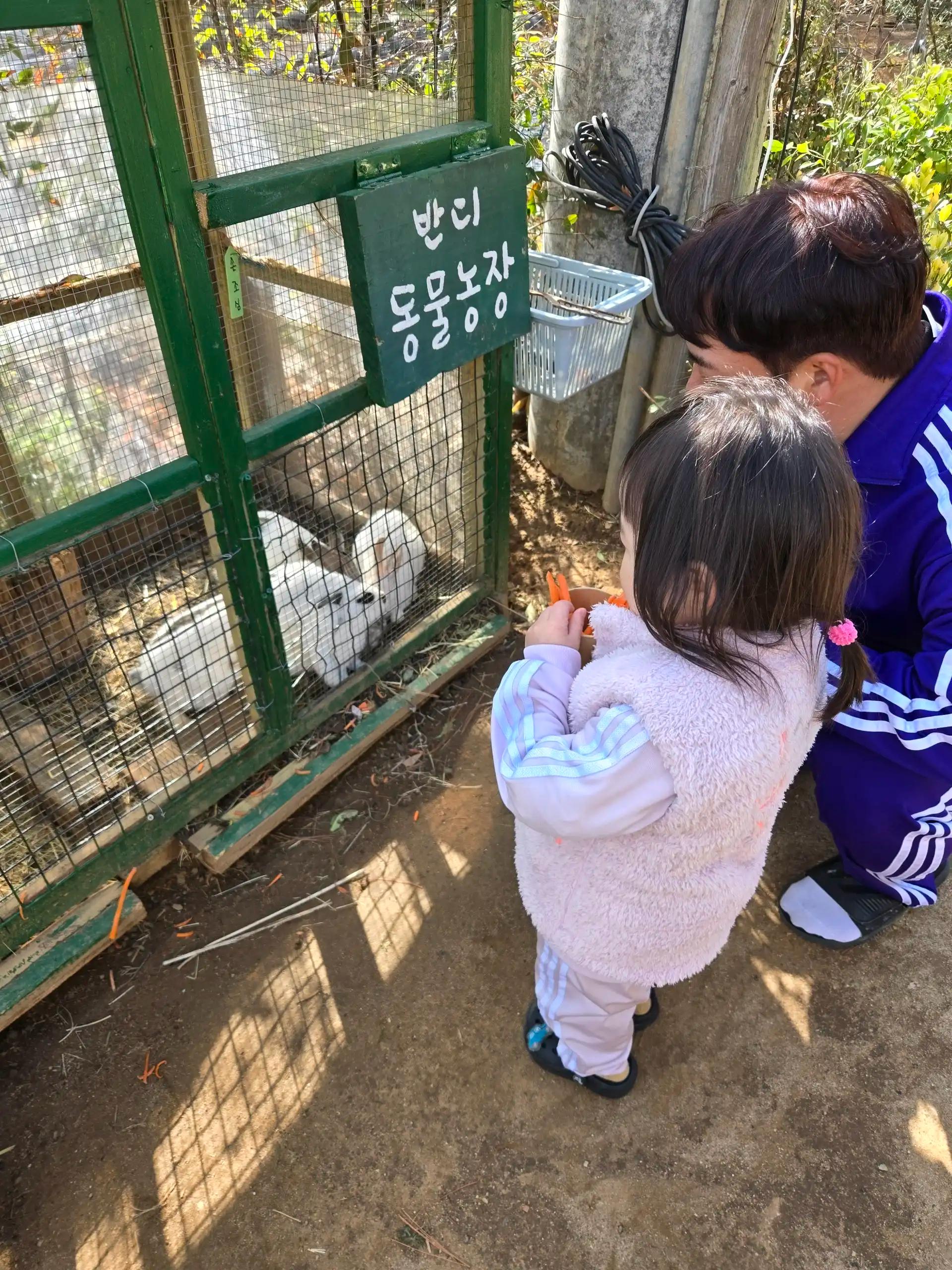 크루톡 이미지