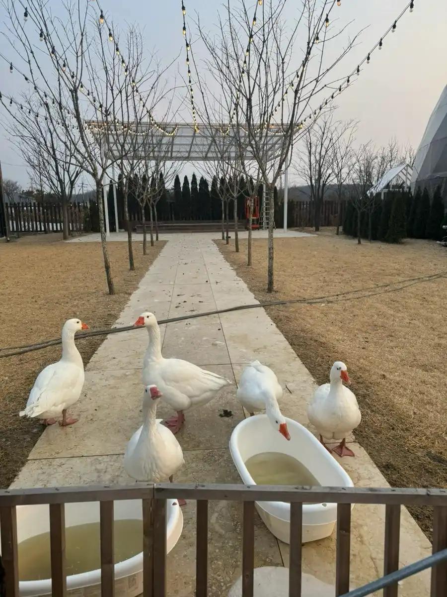 크루톡 이미지