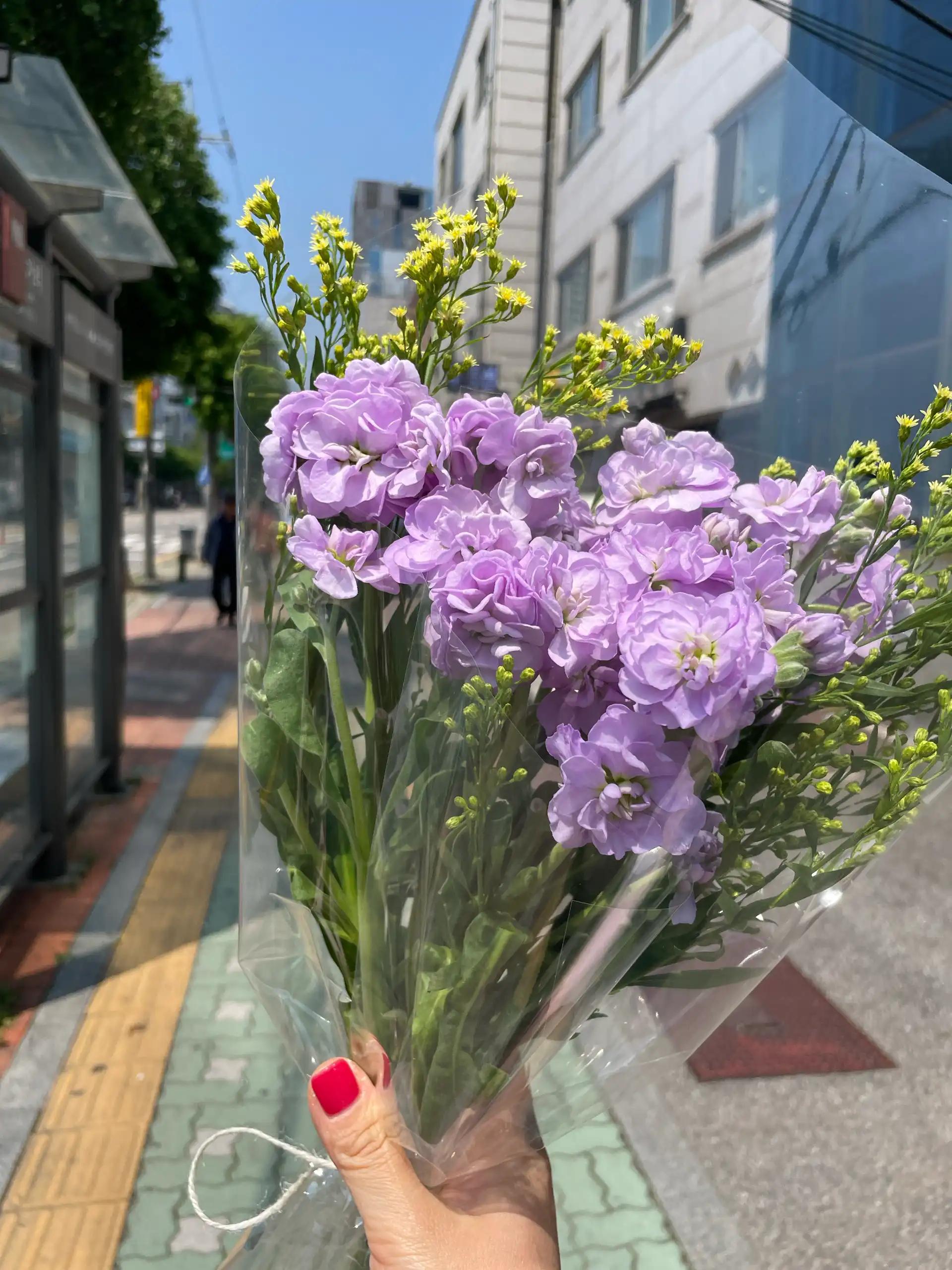 크루톡 이미지