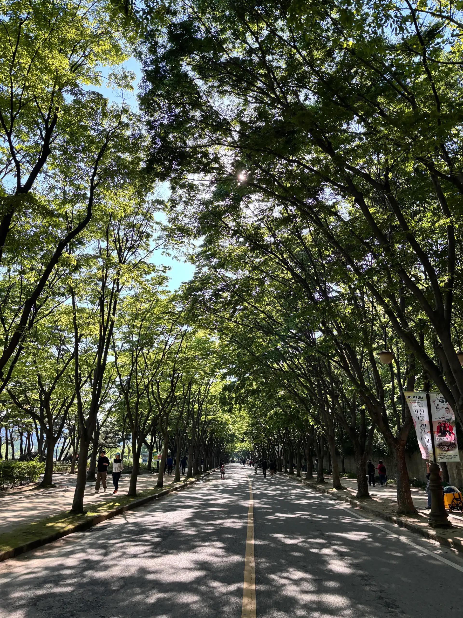 크루톡 이미지