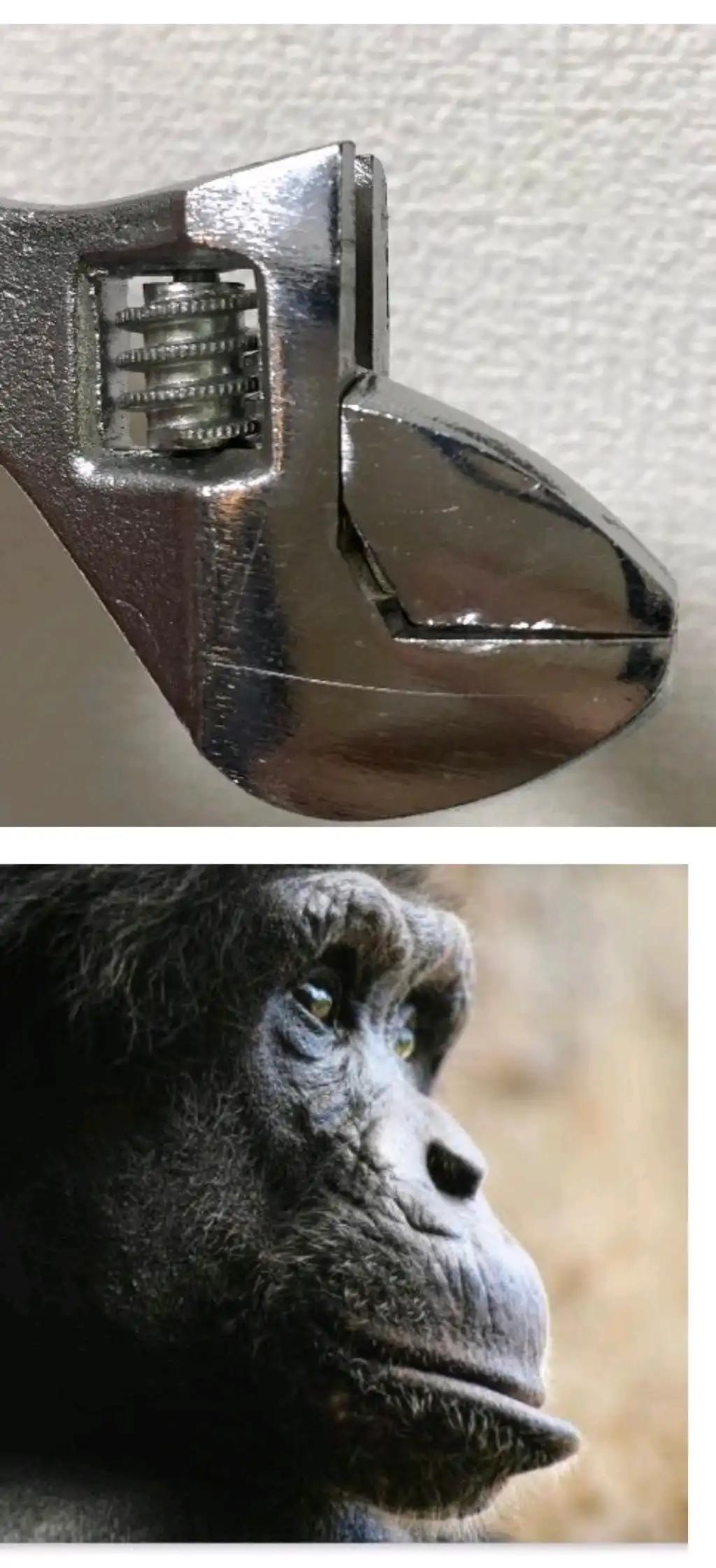 크루톡 이미지
