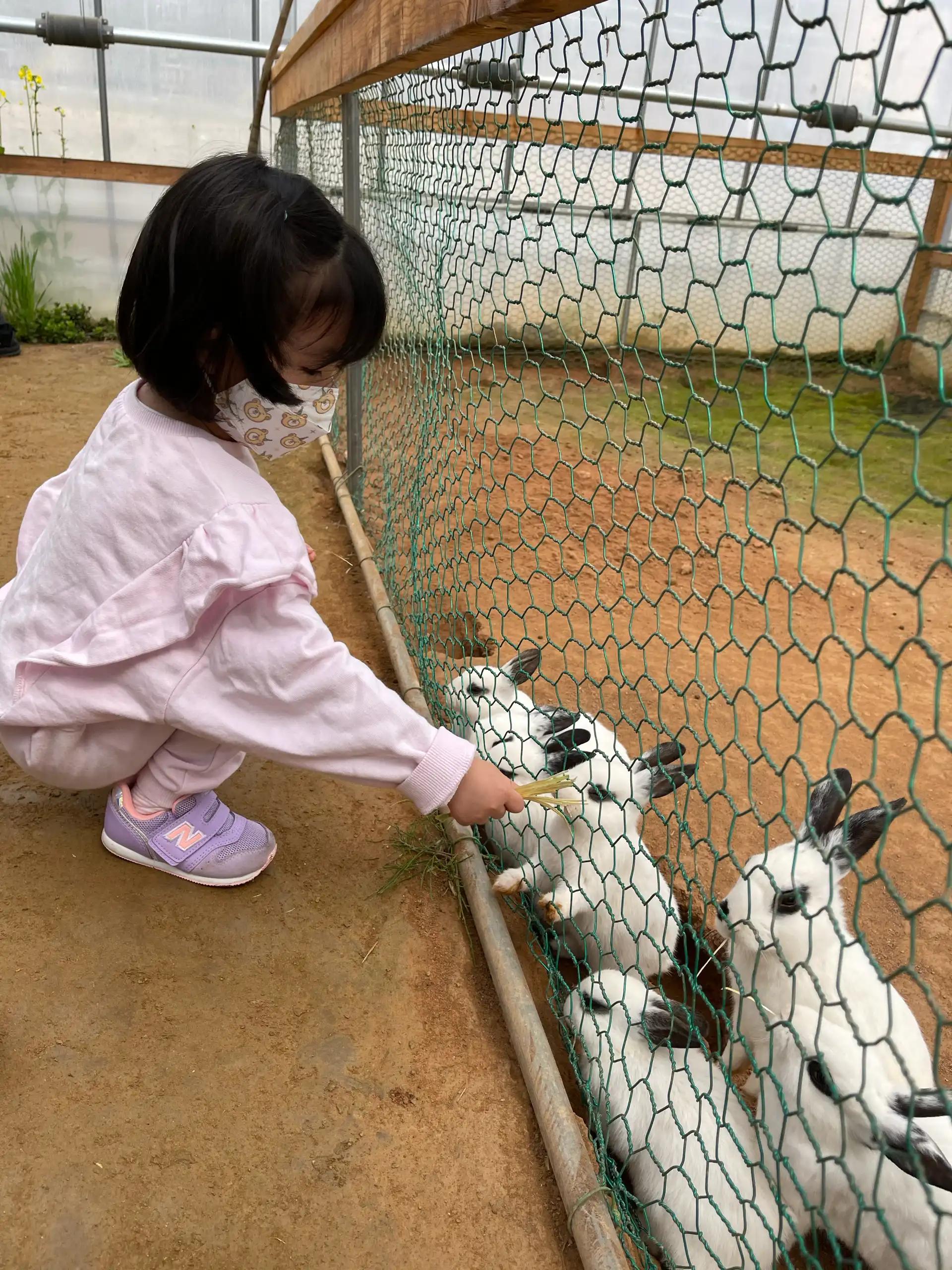 크루톡 이미지