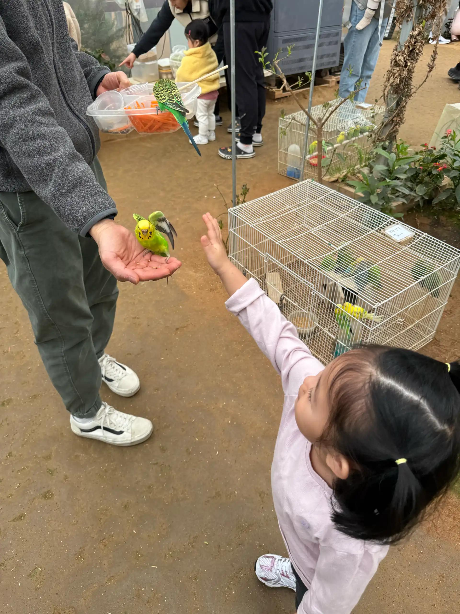 크루톡 이미지