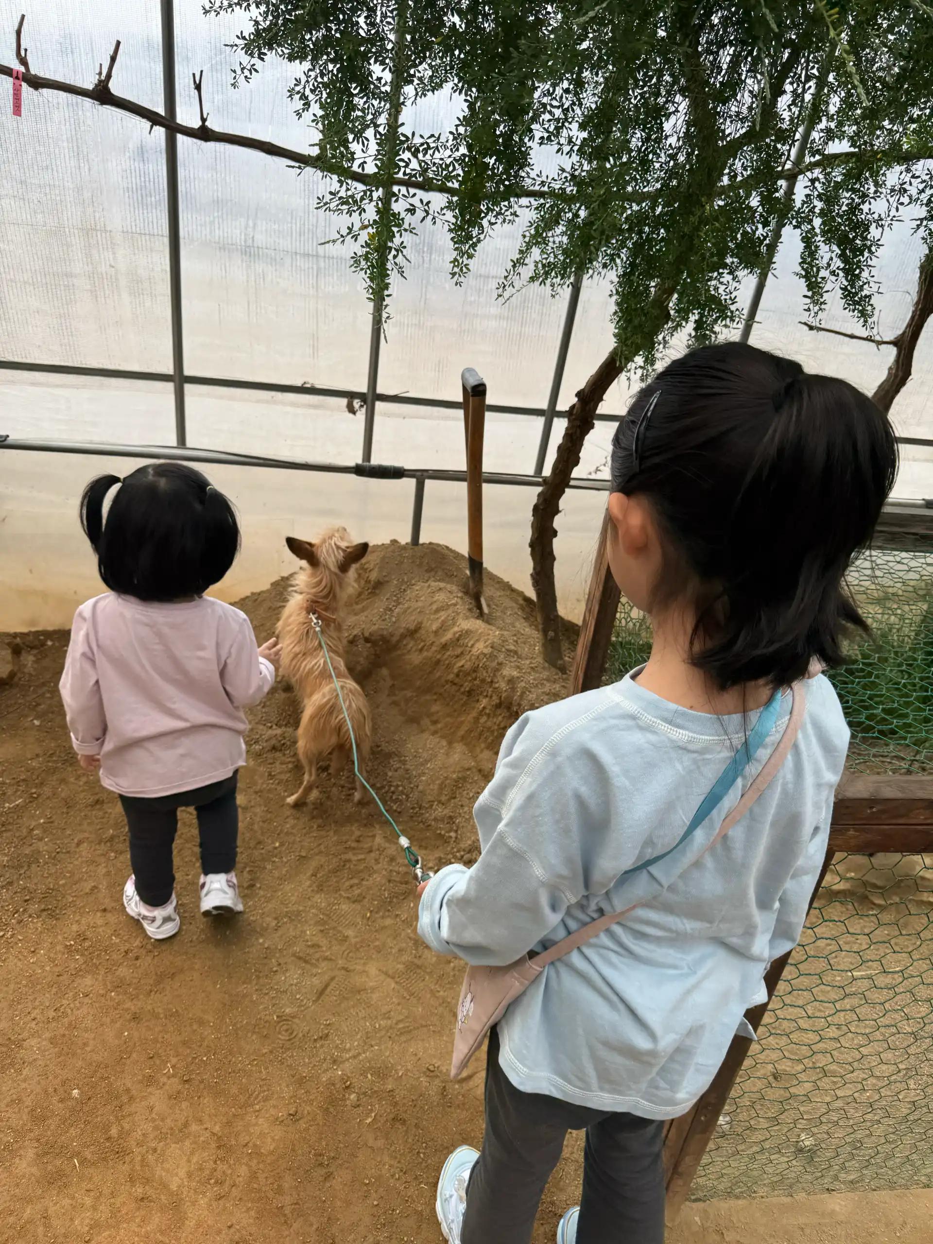 크루톡 이미지