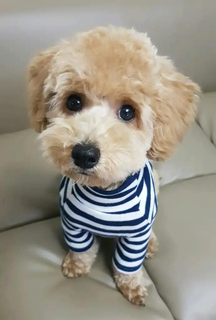 크루톡 이미지