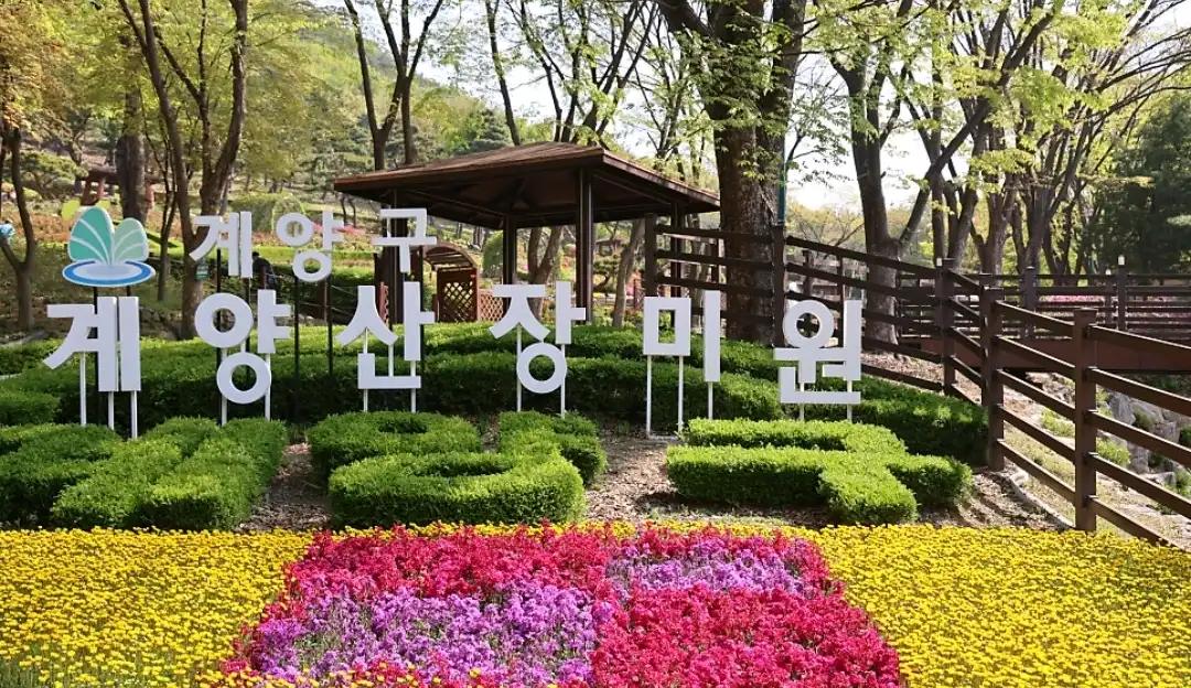 크루톡 이미지
