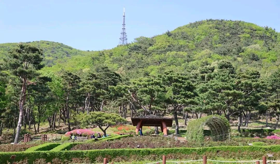 크루톡 이미지