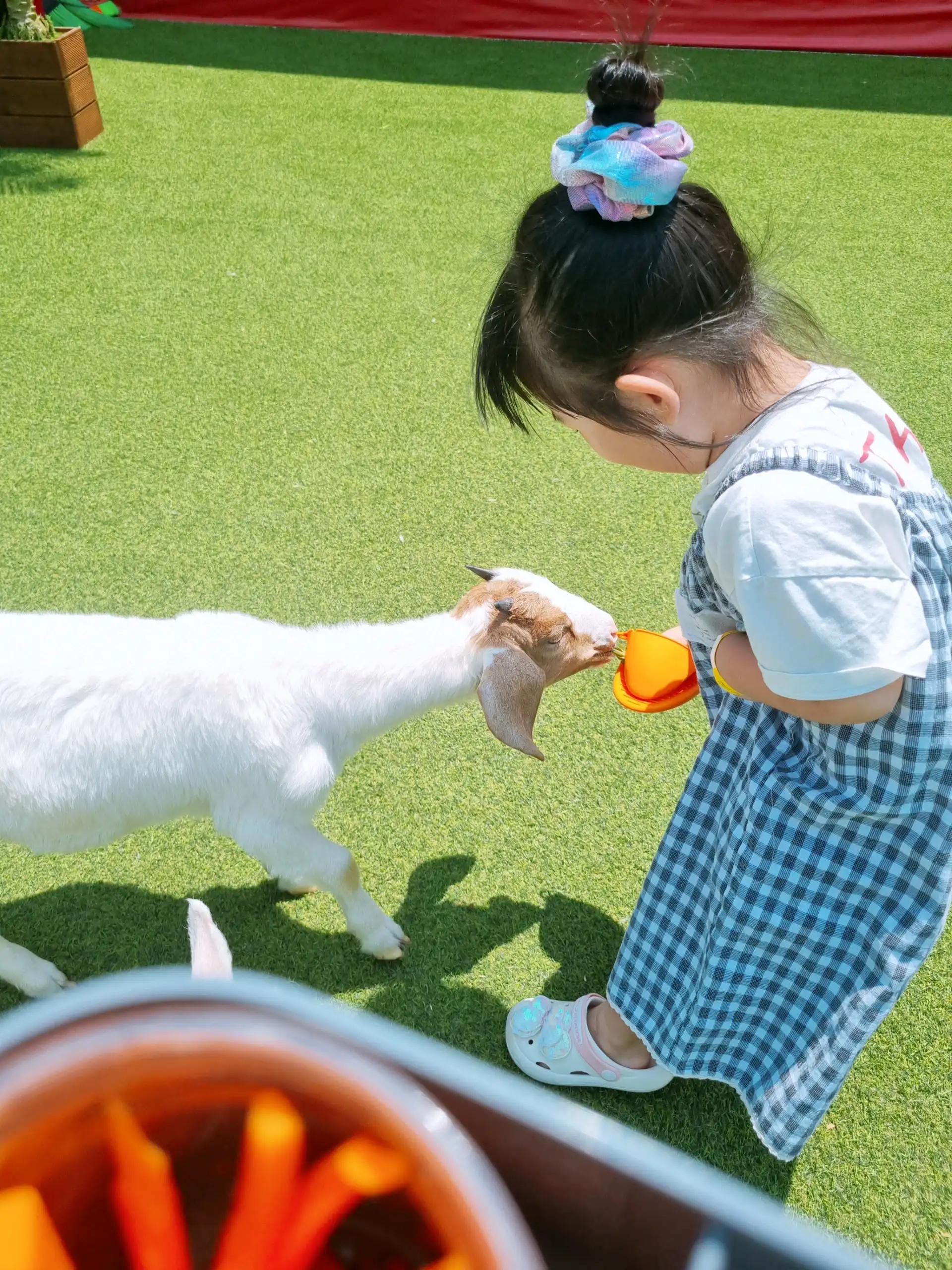 크루톡 이미지